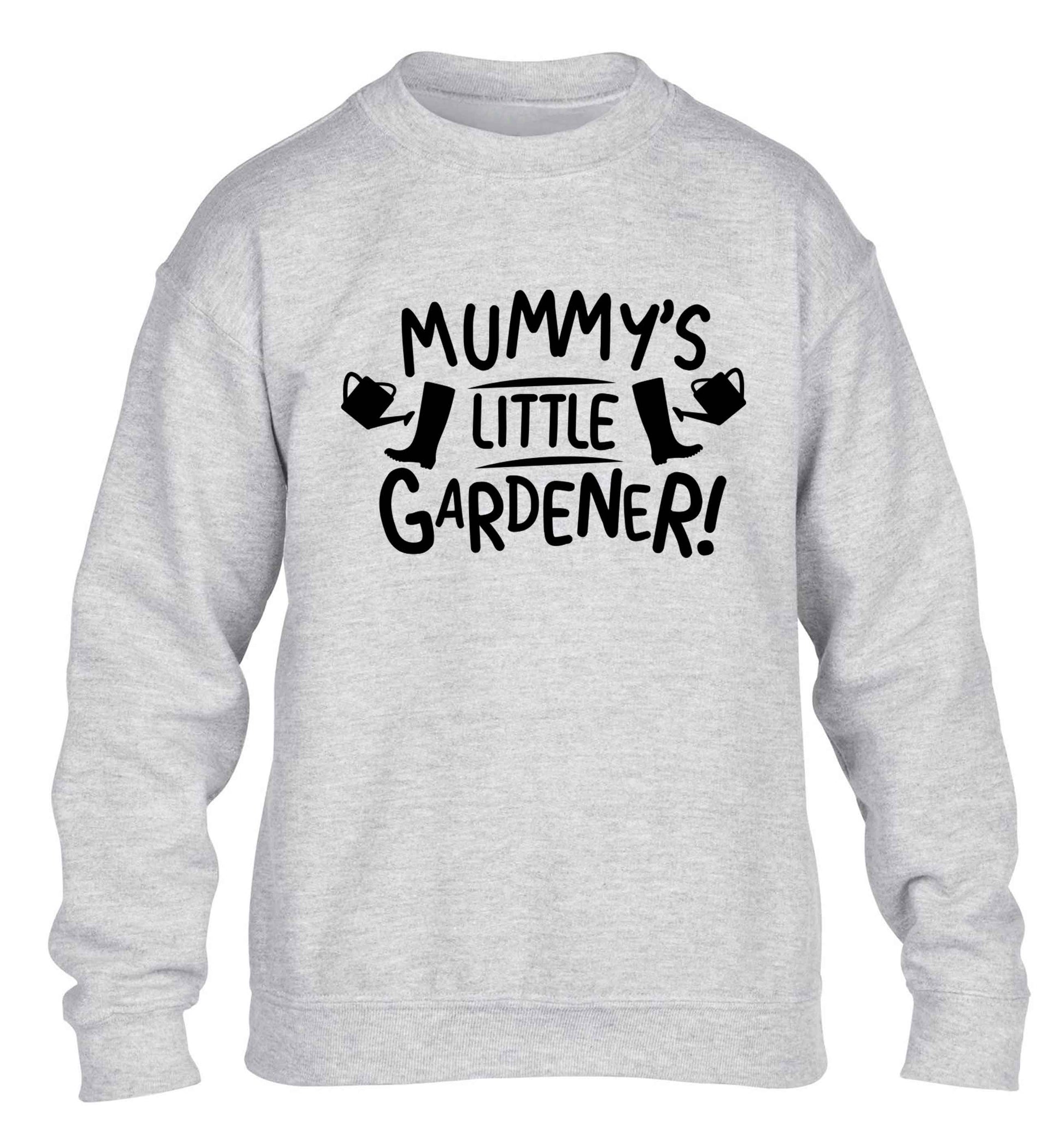 Mummy's little gardener children's grey sweater 12-13 Years
