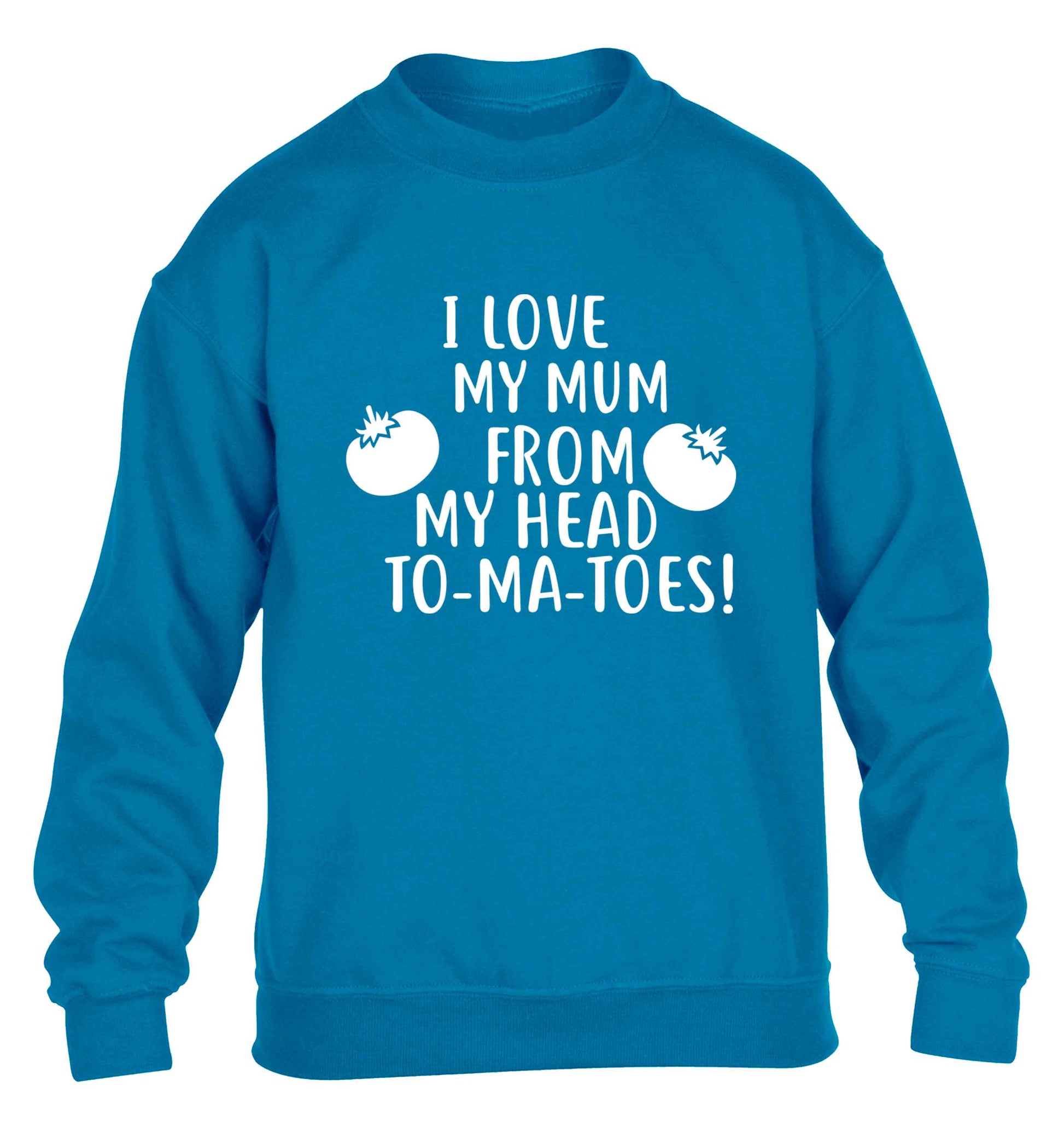 I love my mum from my head to-my-toes! children's blue sweater 12-13 Years