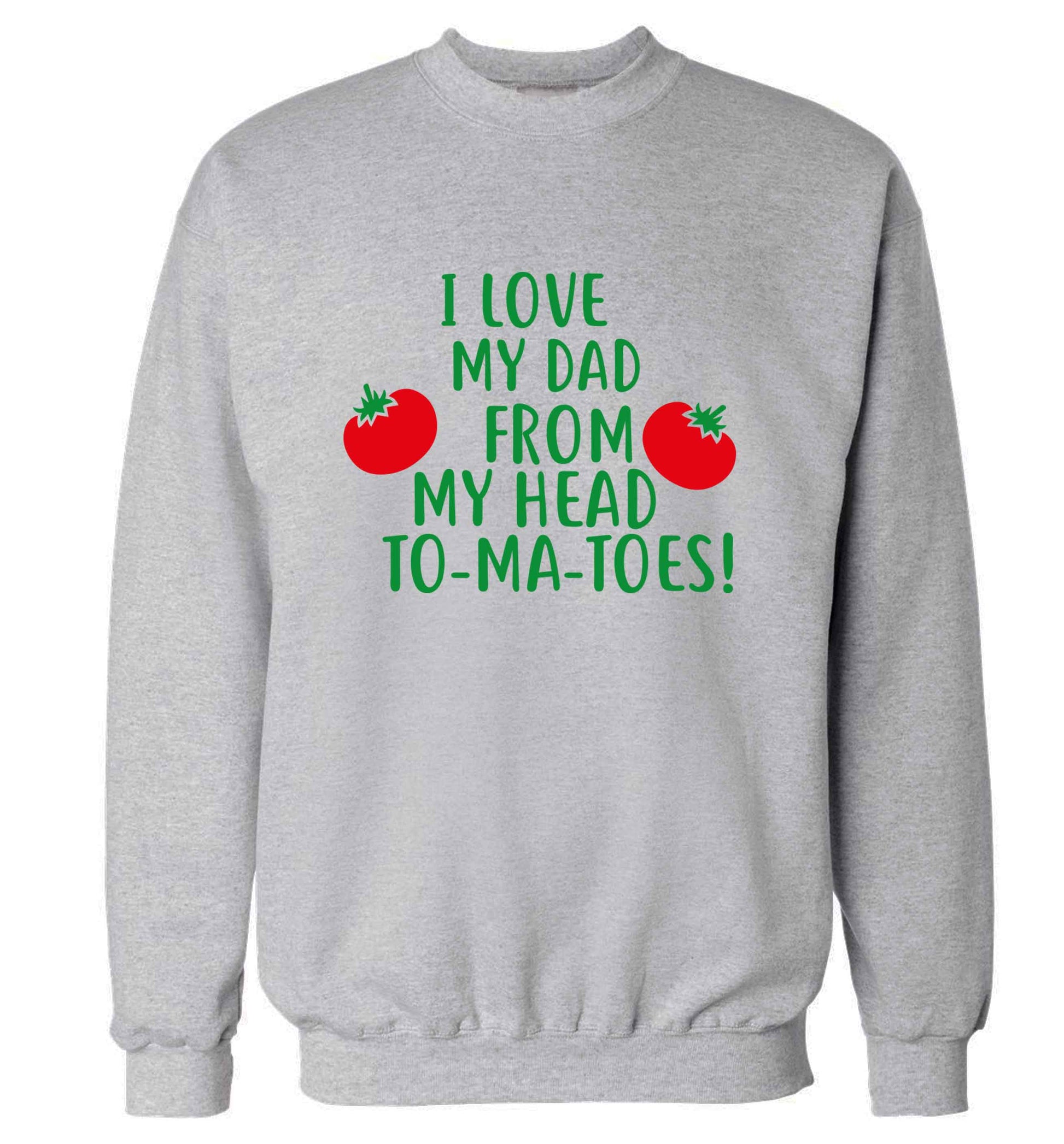 I love my dad from my head to-ma-toes adult's unisex grey sweater 2XL