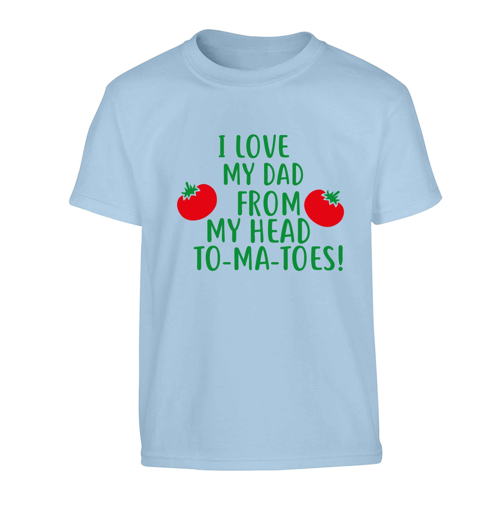 I love my dad from my head to-ma-toes Children's light blue Tshirt 12-13 Years