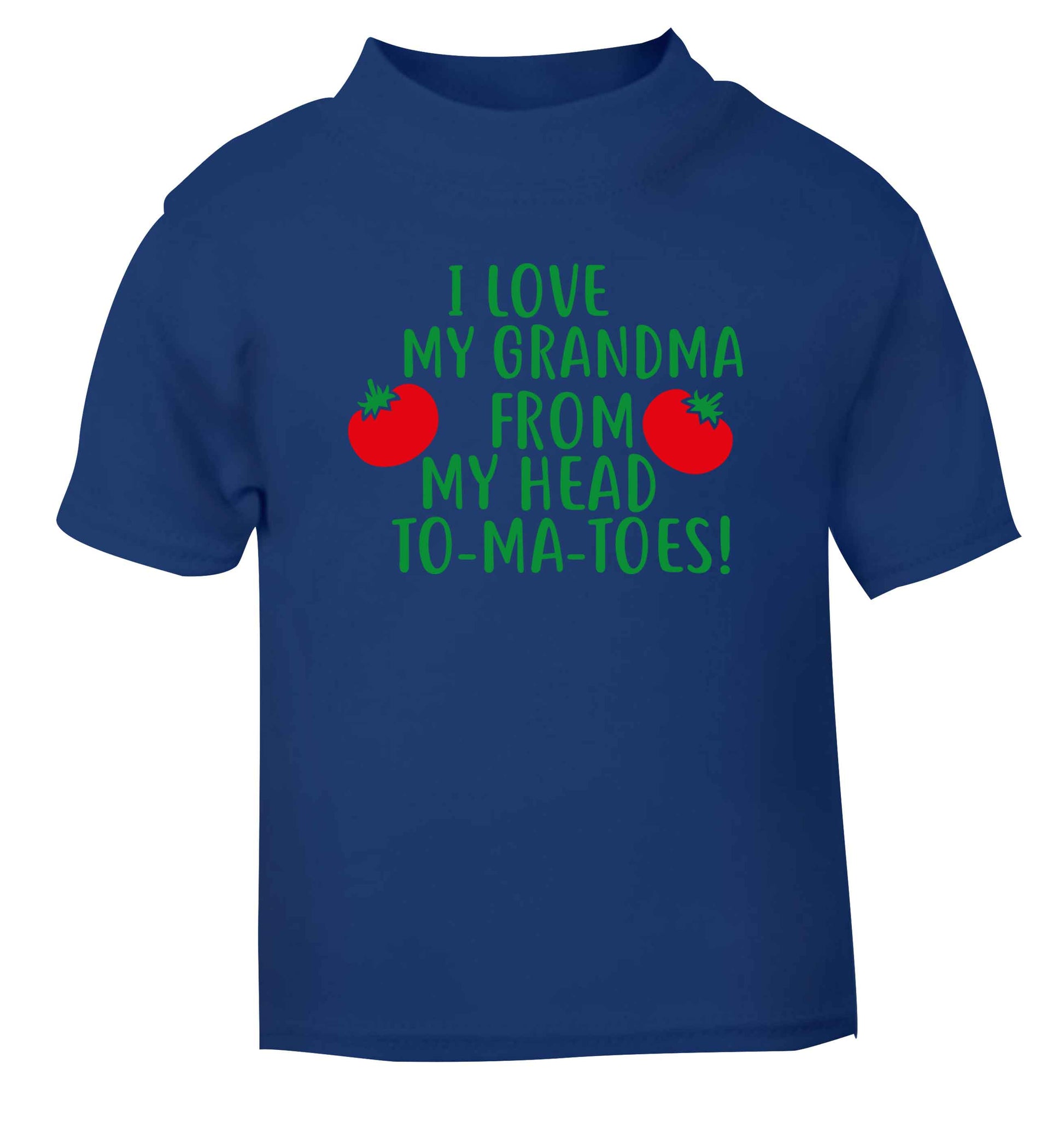I love my grandma from my head to-ma-toes blue Baby Toddler Tshirt 2 Years
