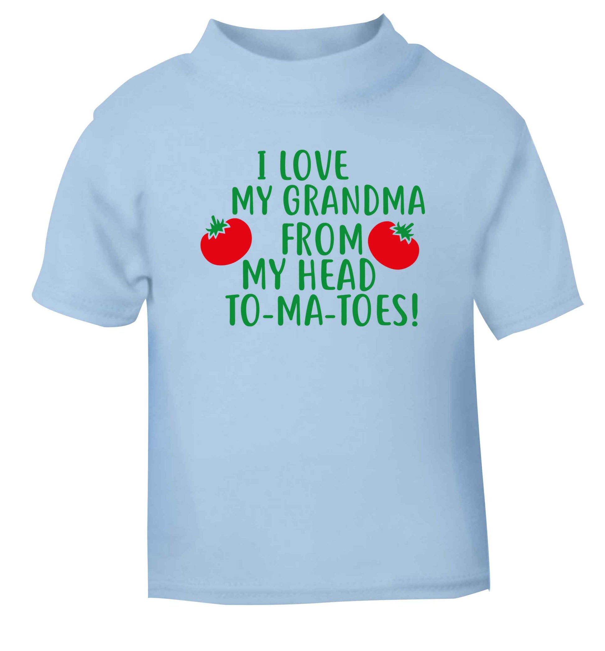 I love my grandma from my head to-ma-toes light blue Baby Toddler Tshirt 2 Years