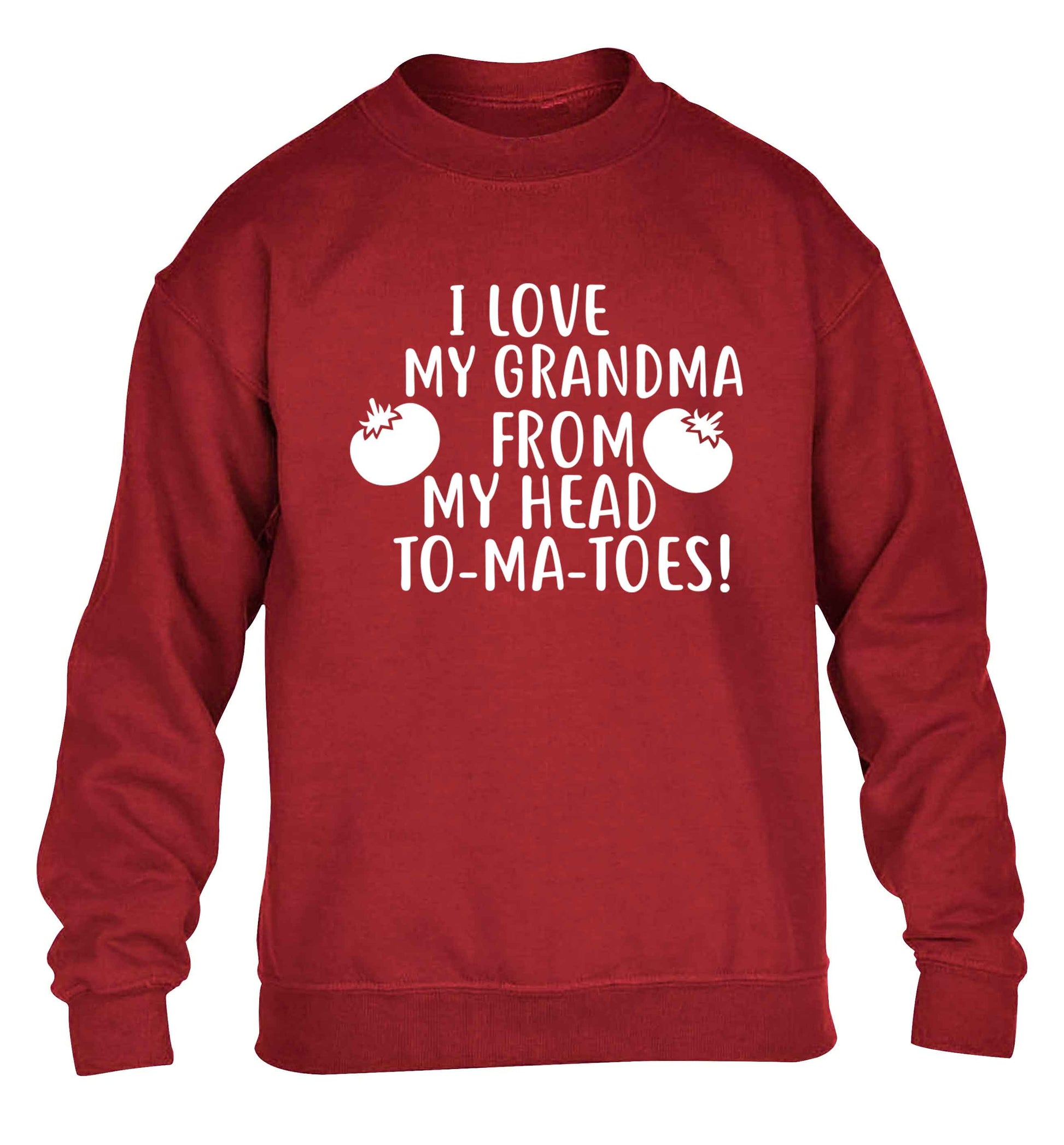 I love my grandma from my head to-ma-toes children's grey sweater 12-13 Years