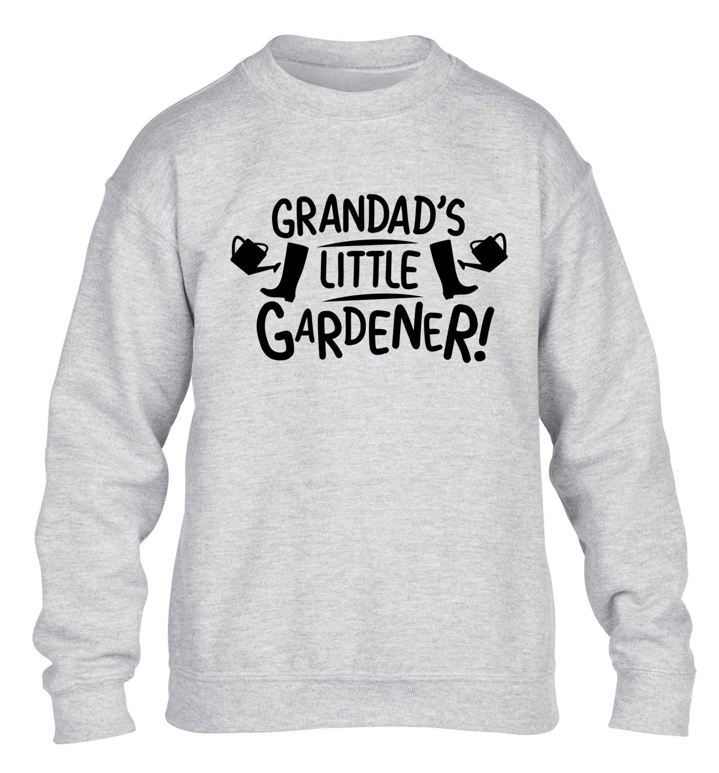 Grandad's little gardener children's grey sweater 12-13 Years