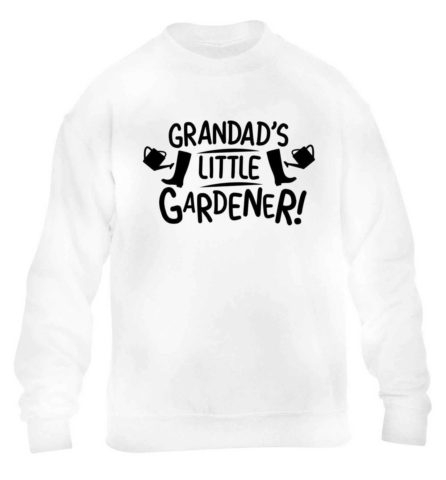 Grandad's little gardener children's white sweater 12-13 Years