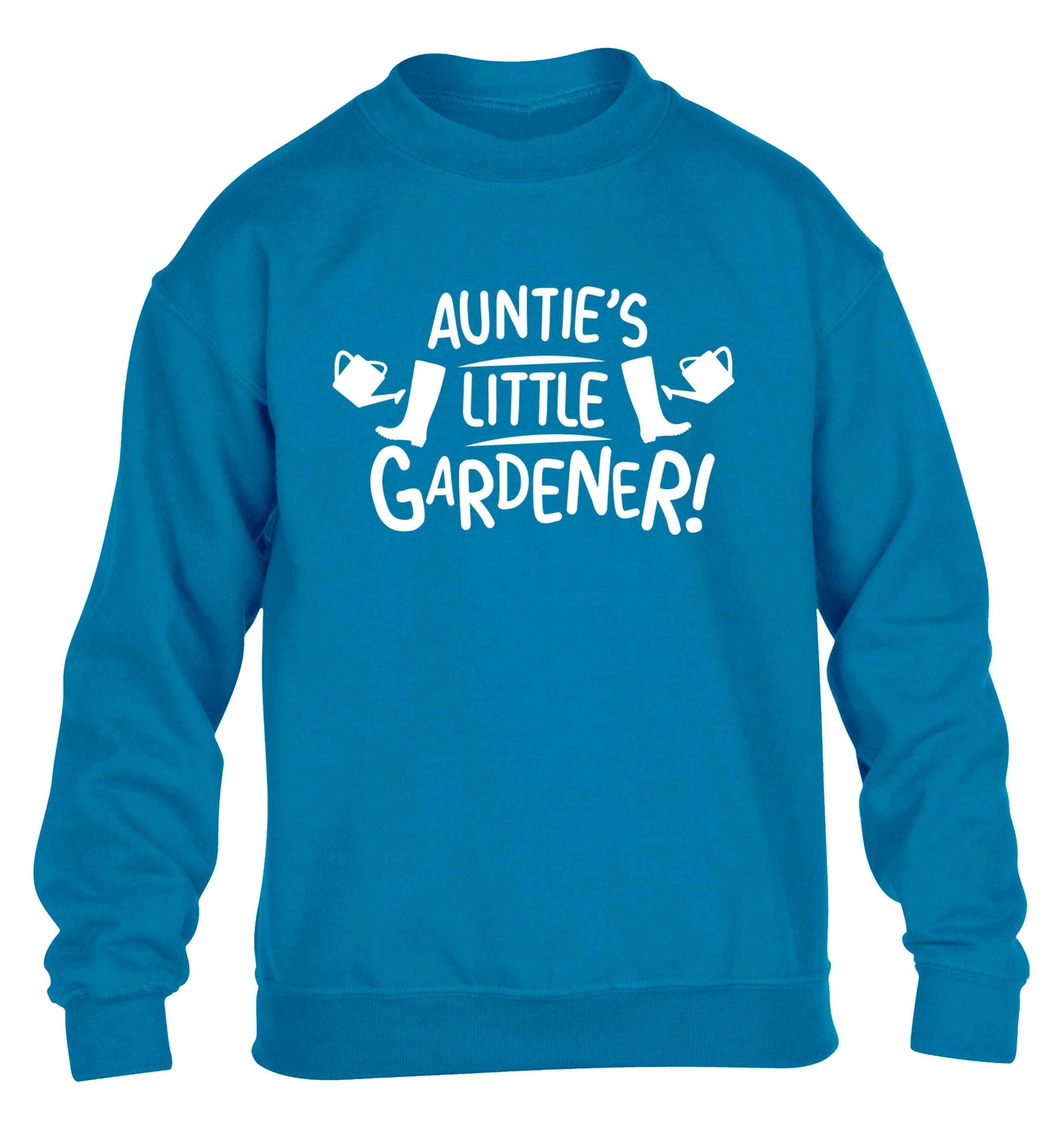 Auntie's little gardener children's blue sweater 12-13 Years
