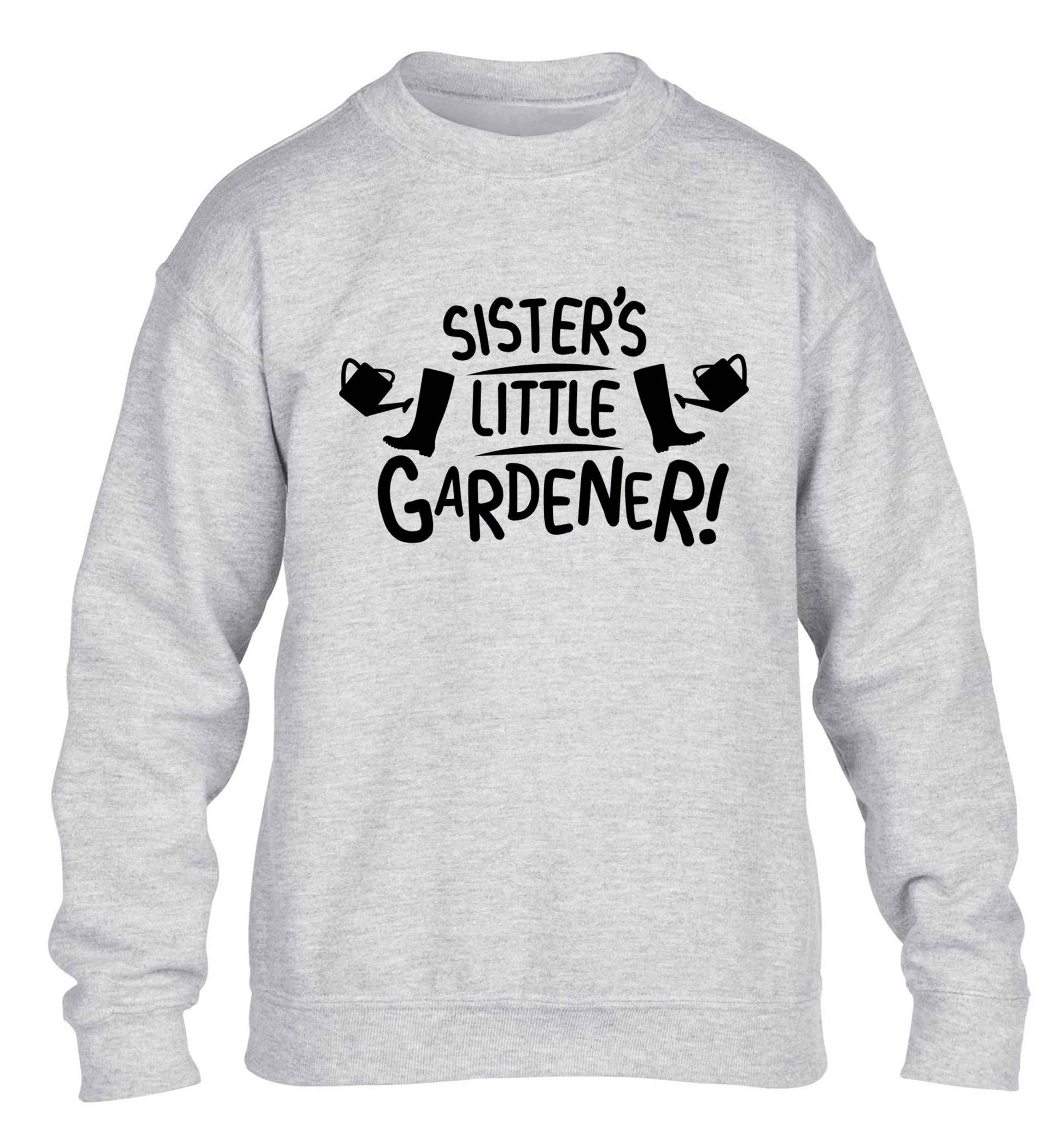 Sister's little gardener children's grey sweater 12-13 Years