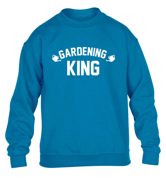 Gardening king children's blue sweater 12-13 Years