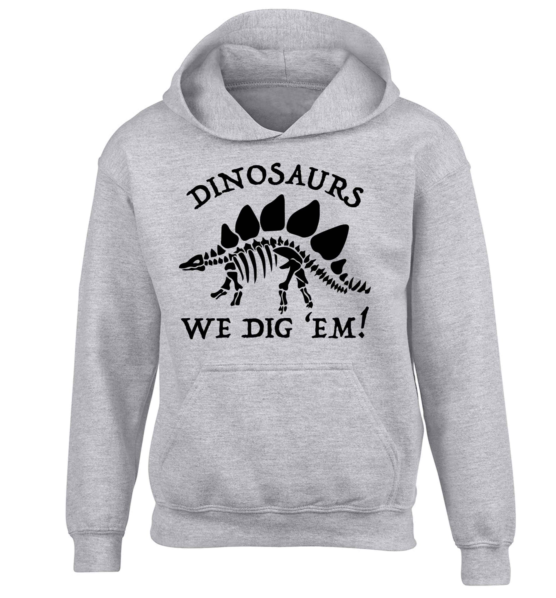 Dinosaurs we dig 'em! children's grey hoodie 12-13 Years