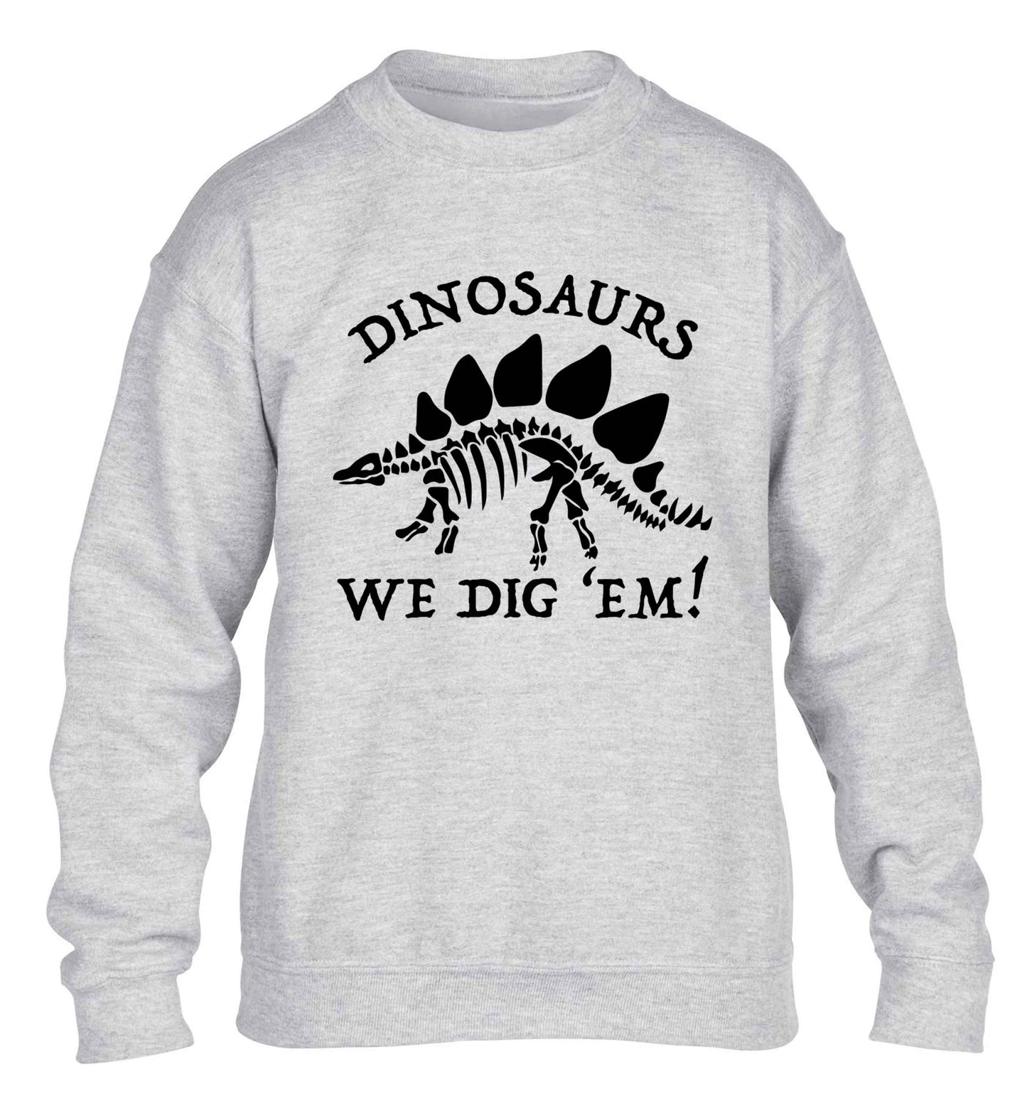 Dinosaurs we dig 'em! children's grey sweater 12-13 Years