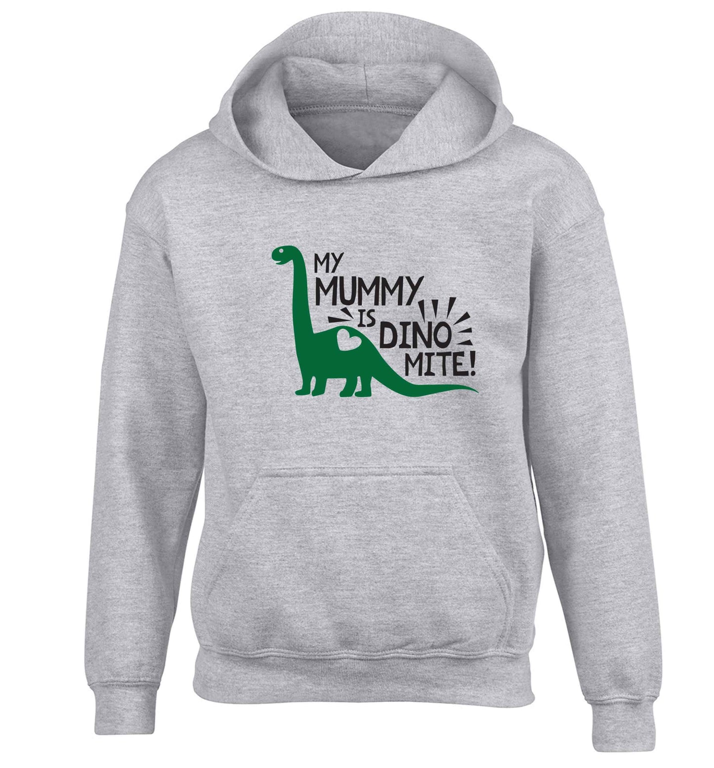 My mummy is dinomite children's grey hoodie 12-13 Years