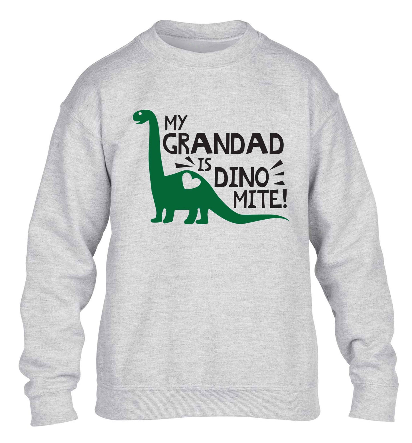 My grandad is dinomite! children's grey sweater 12-13 Years
