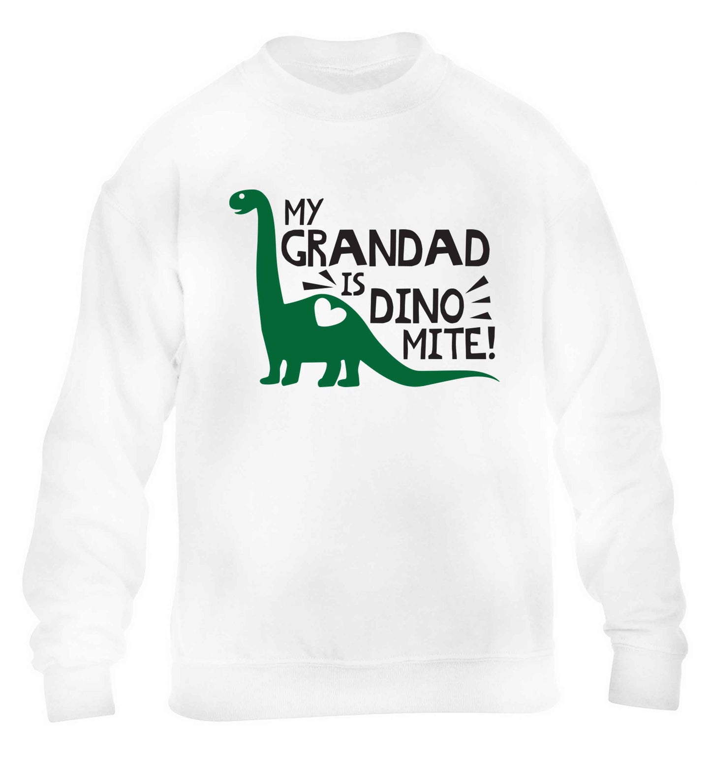 My grandad is dinomite! children's white sweater 12-13 Years