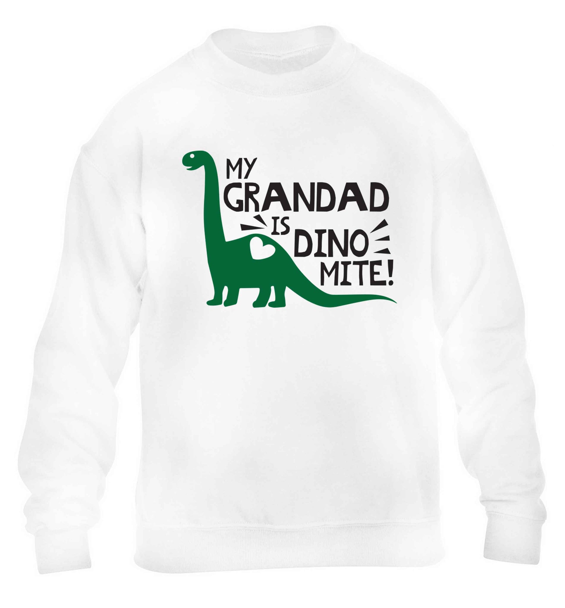 My grandad is dinomite! children's white sweater 12-13 Years