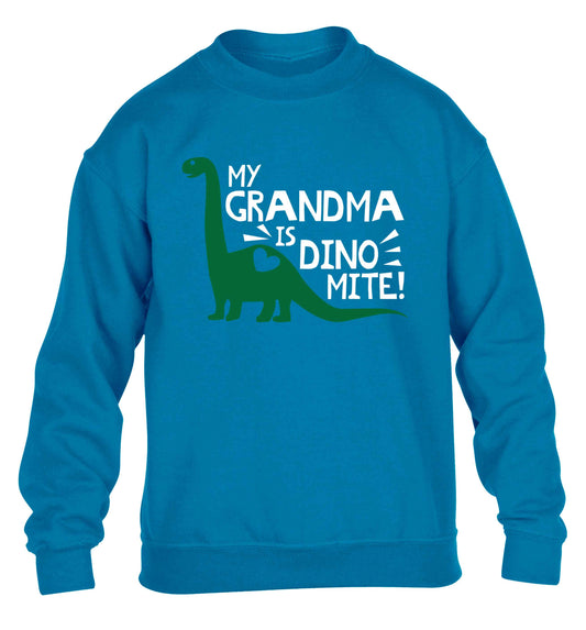 My grandma is dinomite! children's blue sweater 12-13 Years