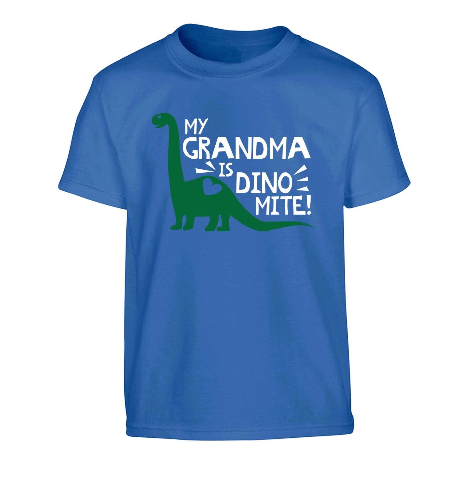 My grandma is dinomite! Children's blue Tshirt 12-13 Years
