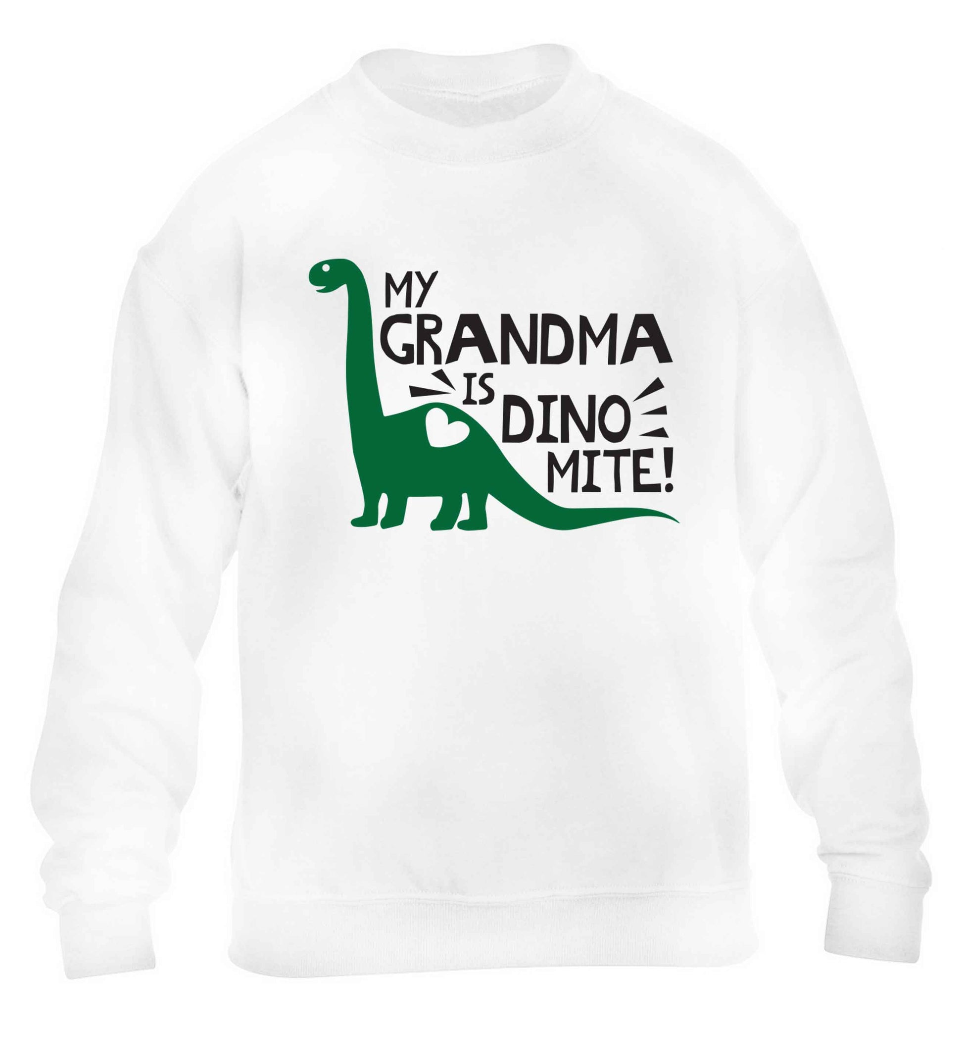 My grandma is dinomite! children's white sweater 12-13 Years