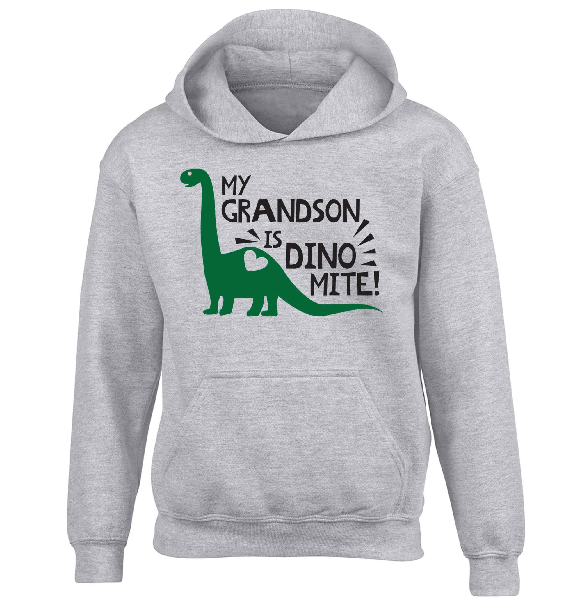 My grandson is dinomite! children's grey hoodie 12-13 Years