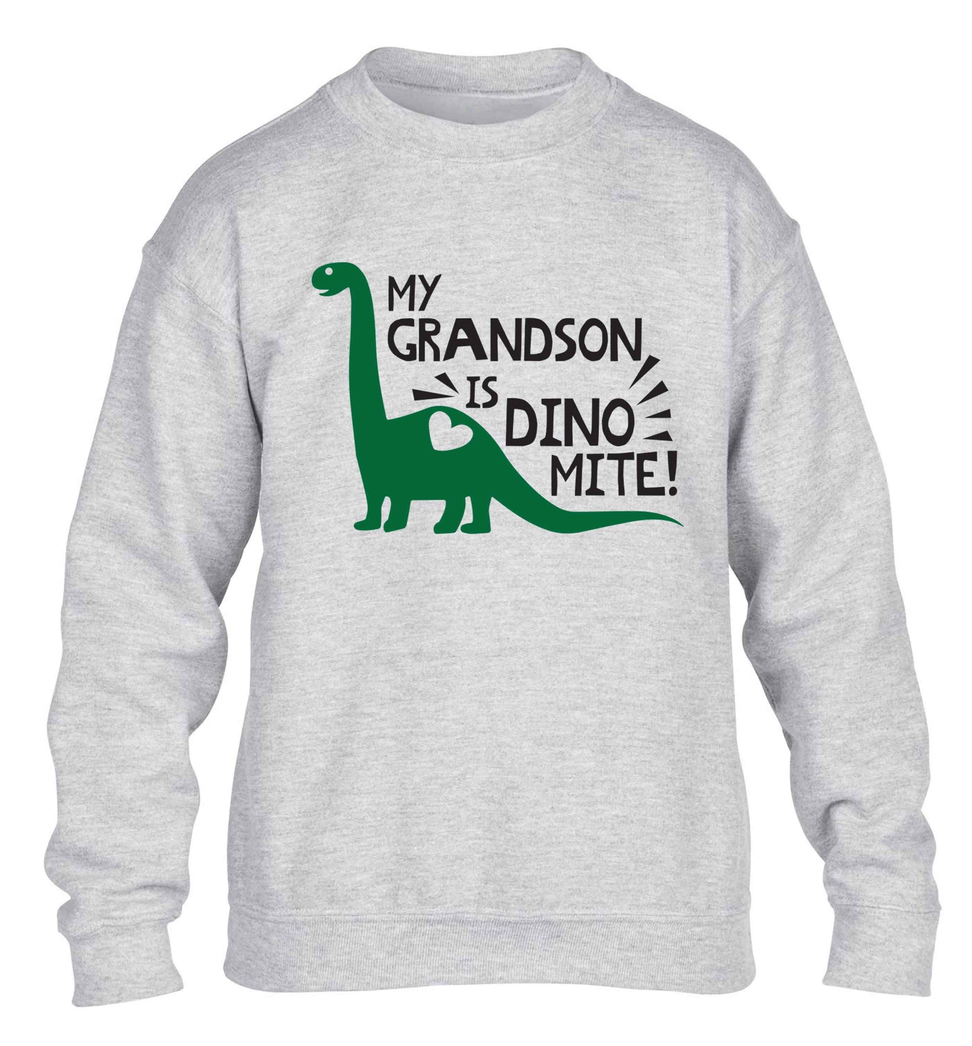 My grandson is dinomite! children's grey sweater 12-13 Years