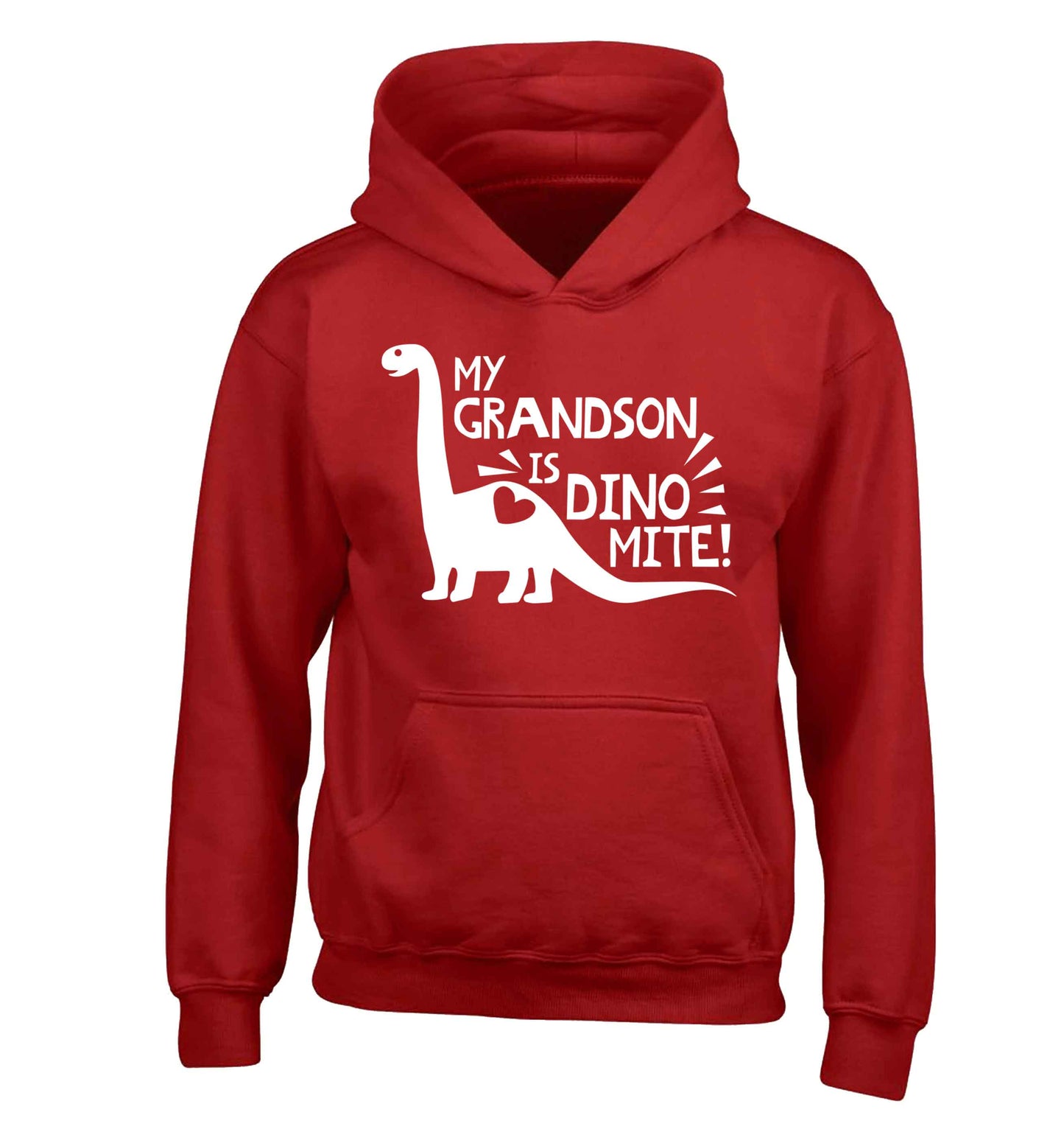 My grandson is dinomite! children's red hoodie 12-13 Years