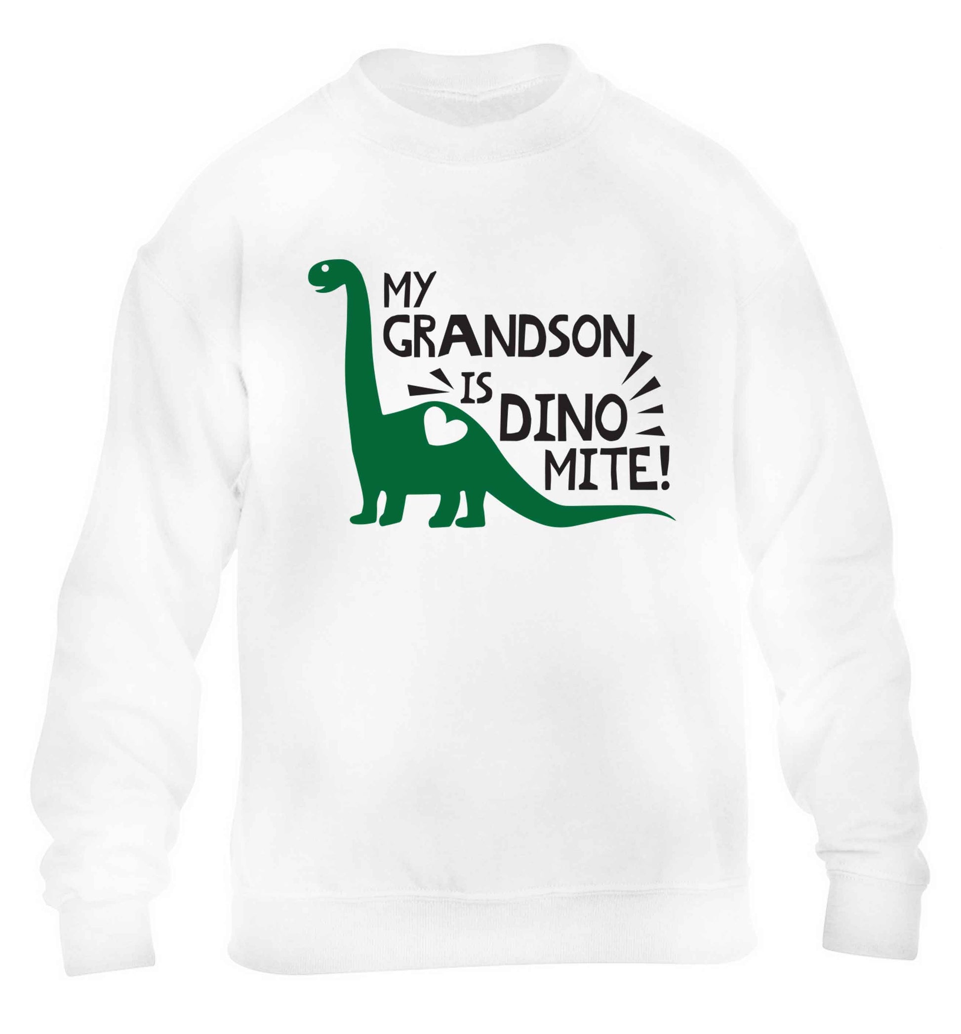 My grandson is dinomite! children's white sweater 12-13 Years