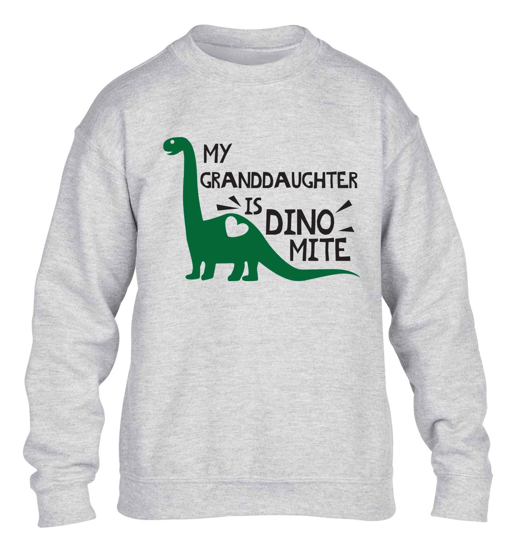 My granddaughter is dinomite! children's grey sweater 12-13 Years