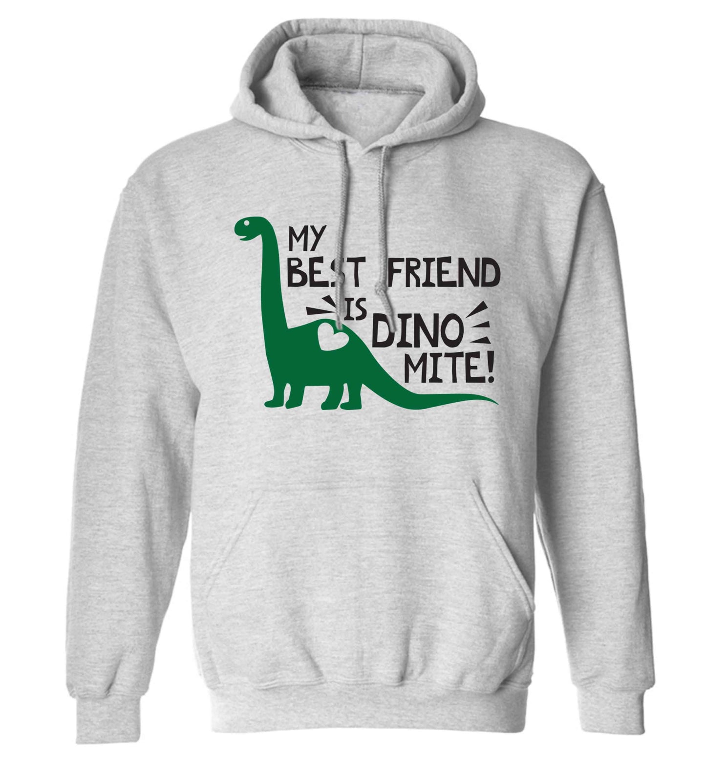 My best friend is dinomite! adults unisex grey hoodie 2XL