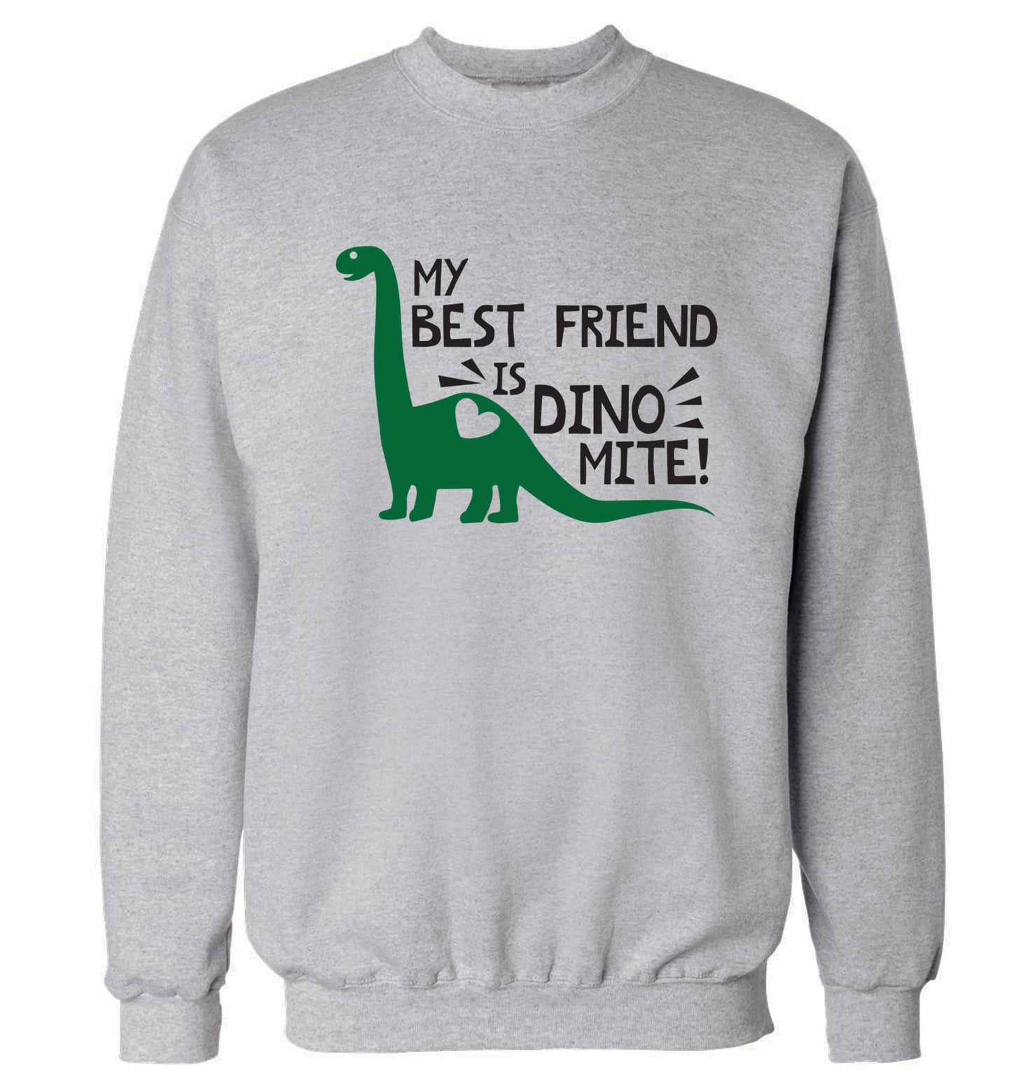 My best friend is dinomite! Adult's unisex grey Sweater 2XL