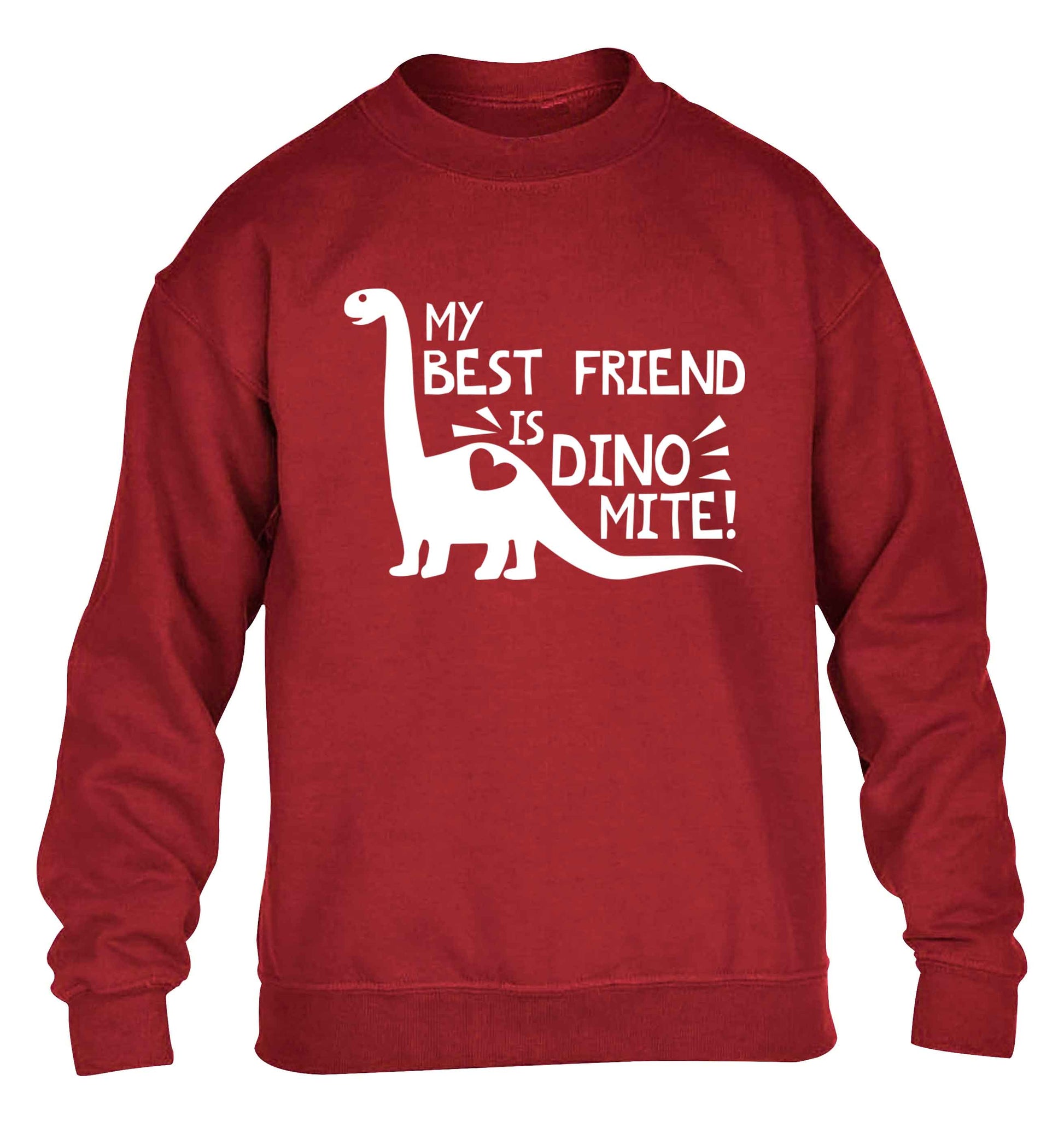 My best friend is dinomite! children's grey sweater 12-13 Years
