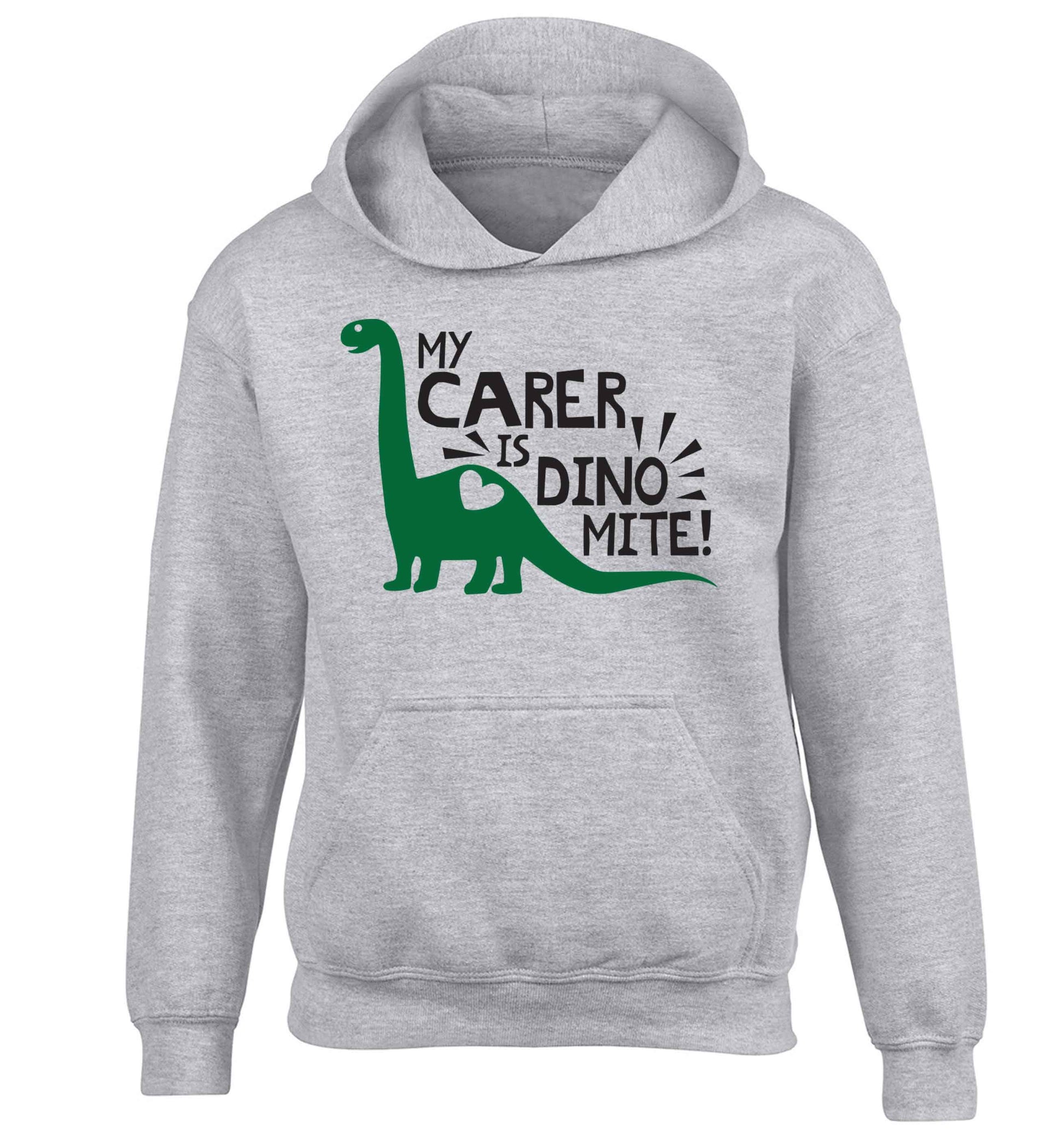 My carer is dinomite! children's grey hoodie 12-13 Years