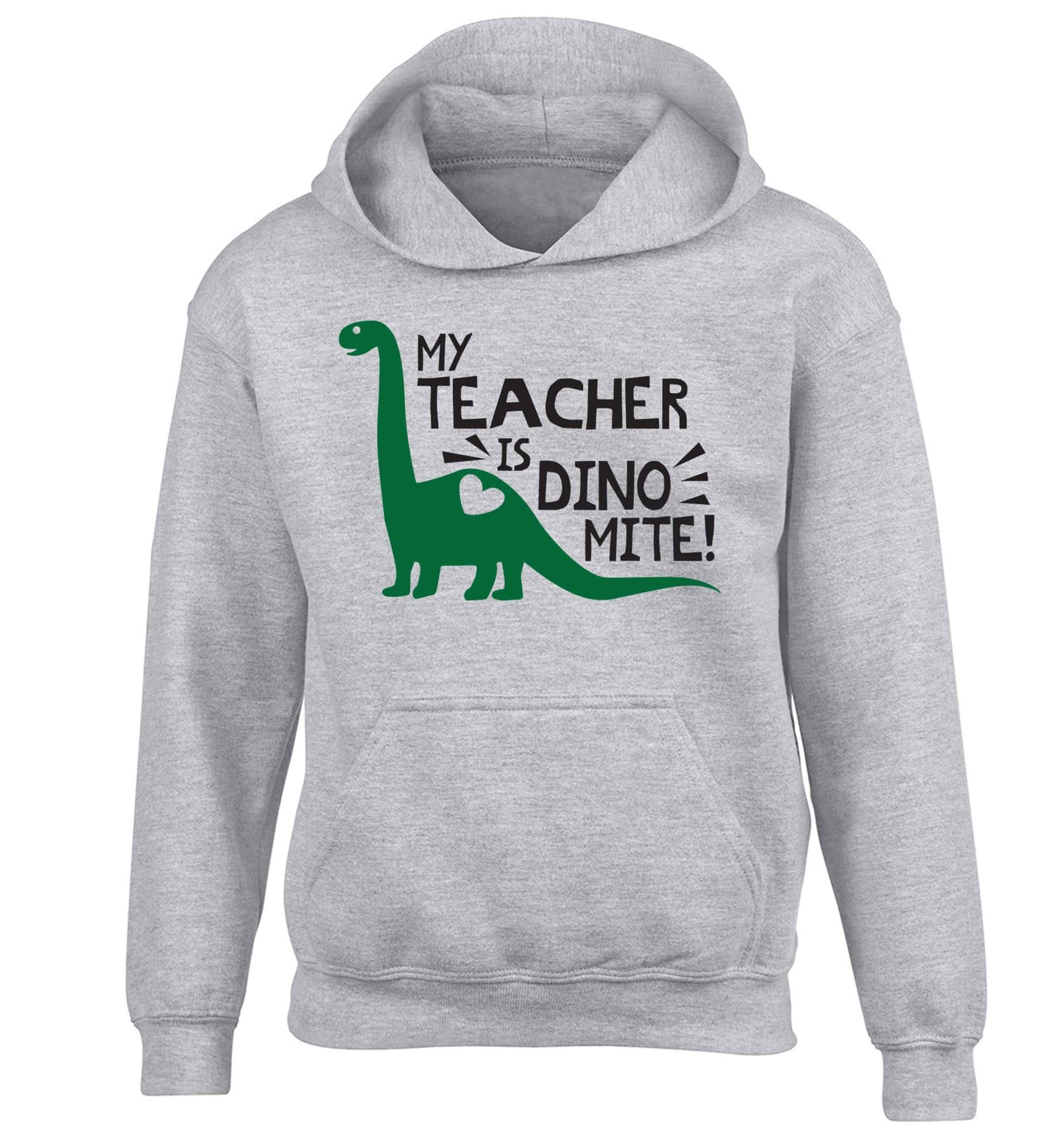 My teacher is dinomite! children's grey hoodie 12-13 Years