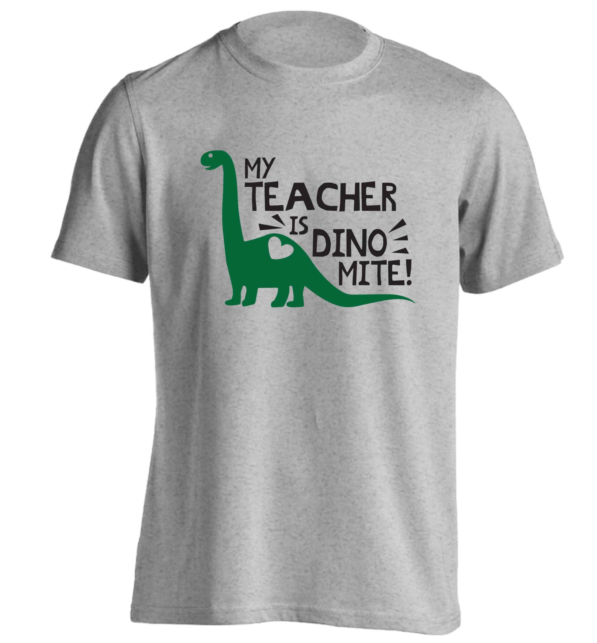 My teacher is dinomite! adults unisex grey Tshirt 2XL