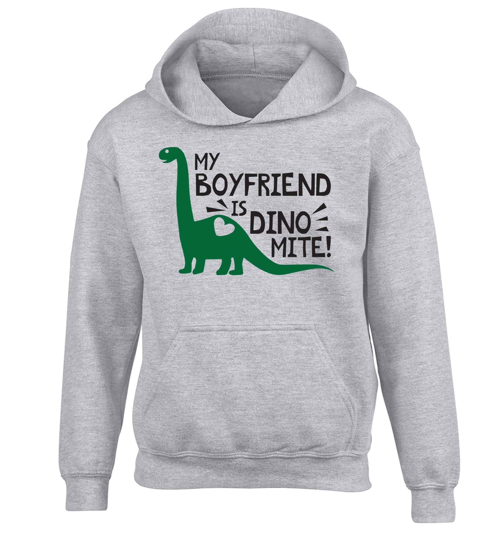 My boyfriend is dinomite! children's grey hoodie 12-13 Years