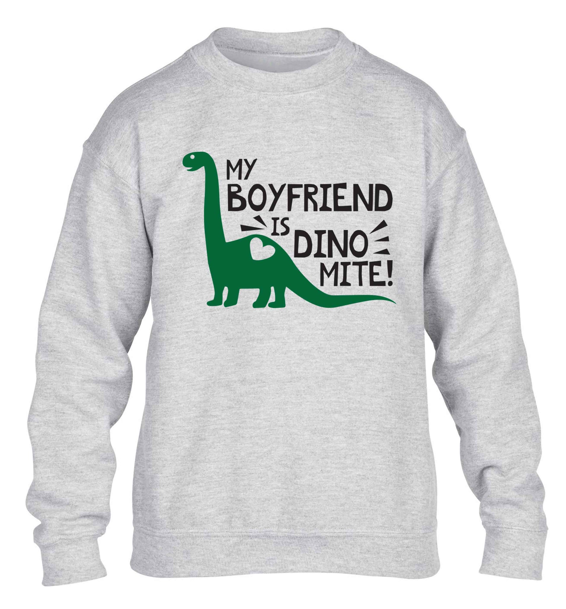 My boyfriend is dinomite! children's grey sweater 12-13 Years