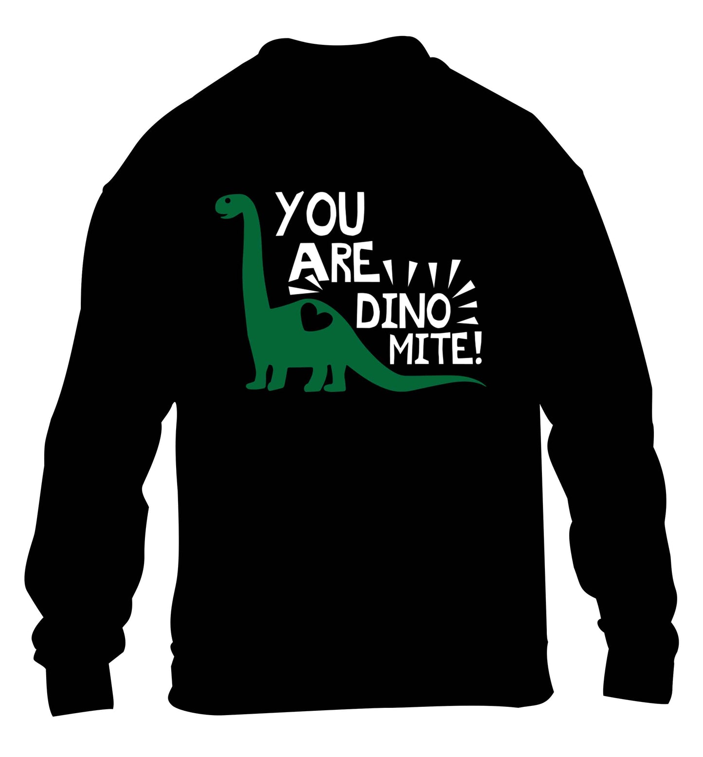 You are dinomite! children's black sweater 12-13 Years