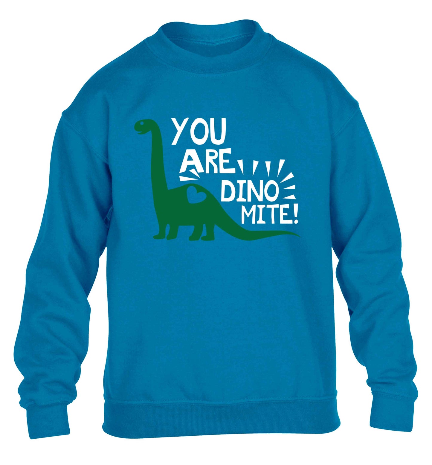 You are dinomite! children's blue sweater 12-13 Years