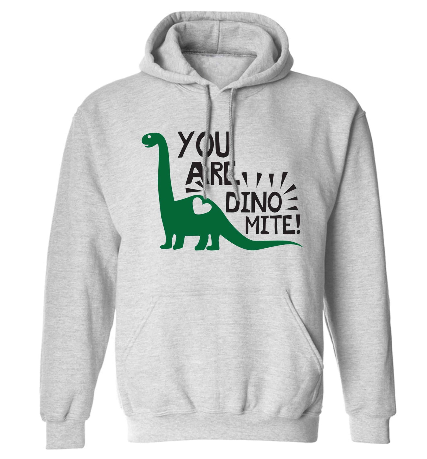 You are dinomite! adults unisex grey hoodie 2XL