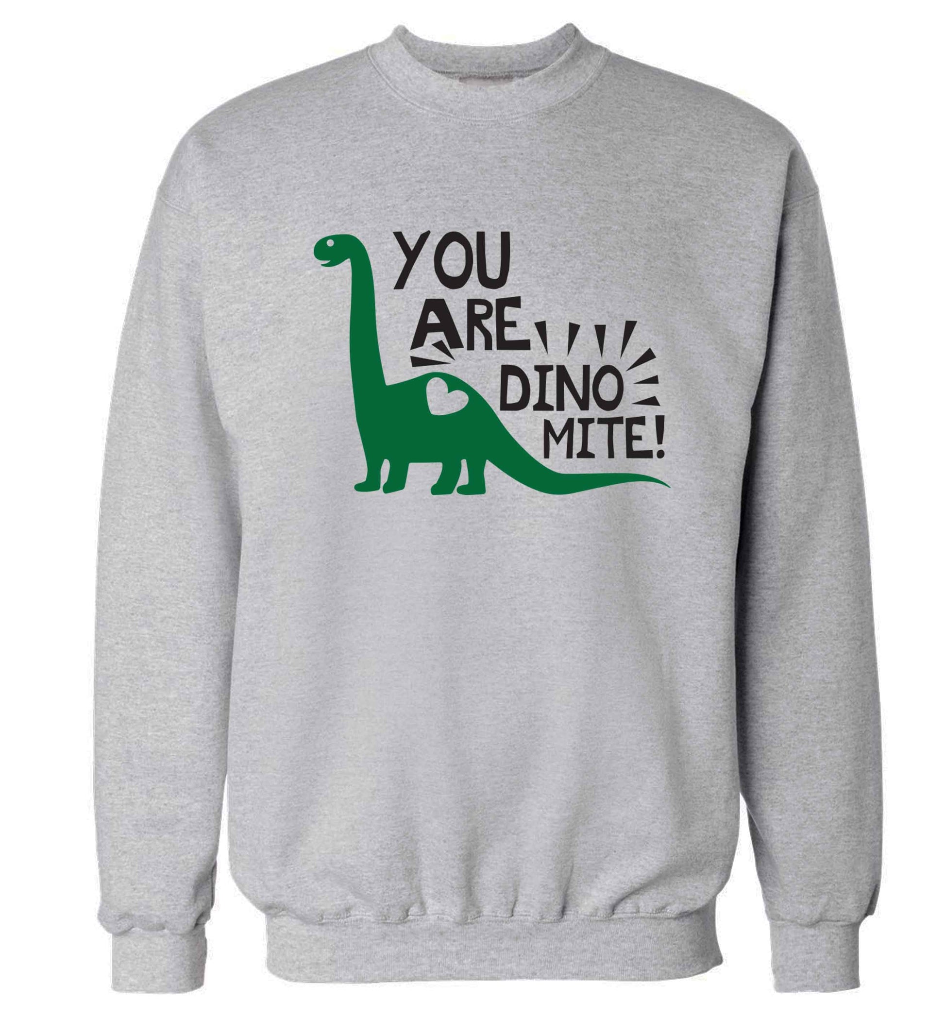 You are dinomite! Adult's unisex grey Sweater 2XL