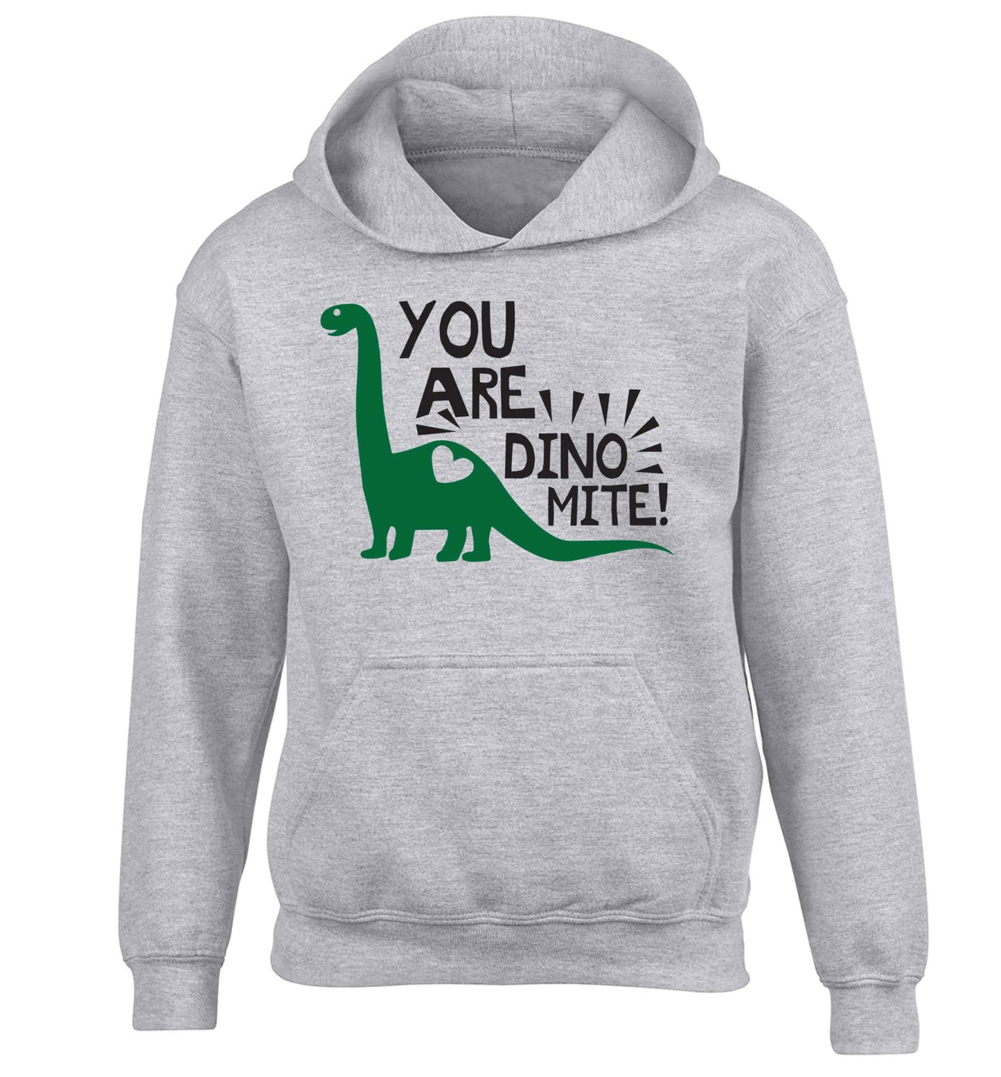 You are dinomite! children's grey hoodie 12-13 Years