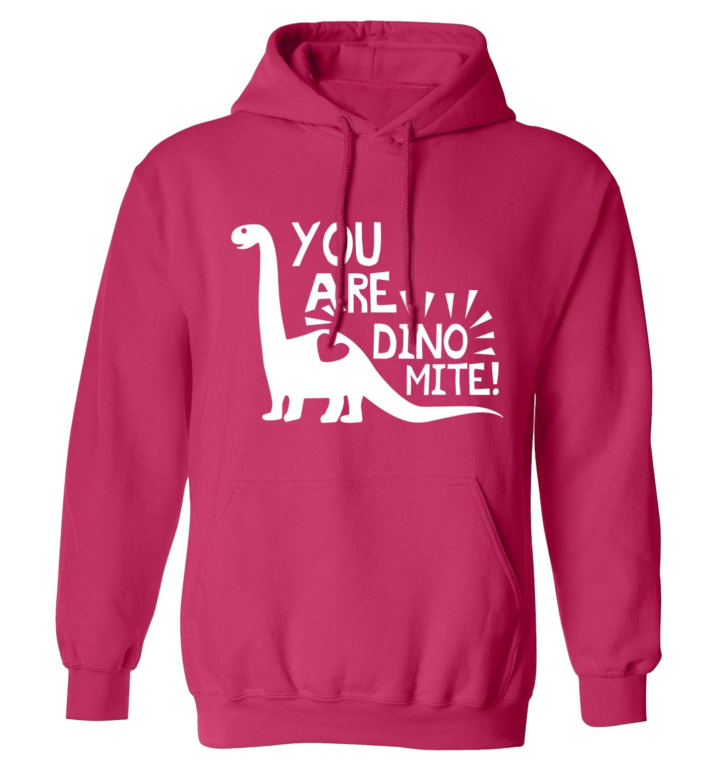 You are dinomite! adults unisex pink hoodie 2XL