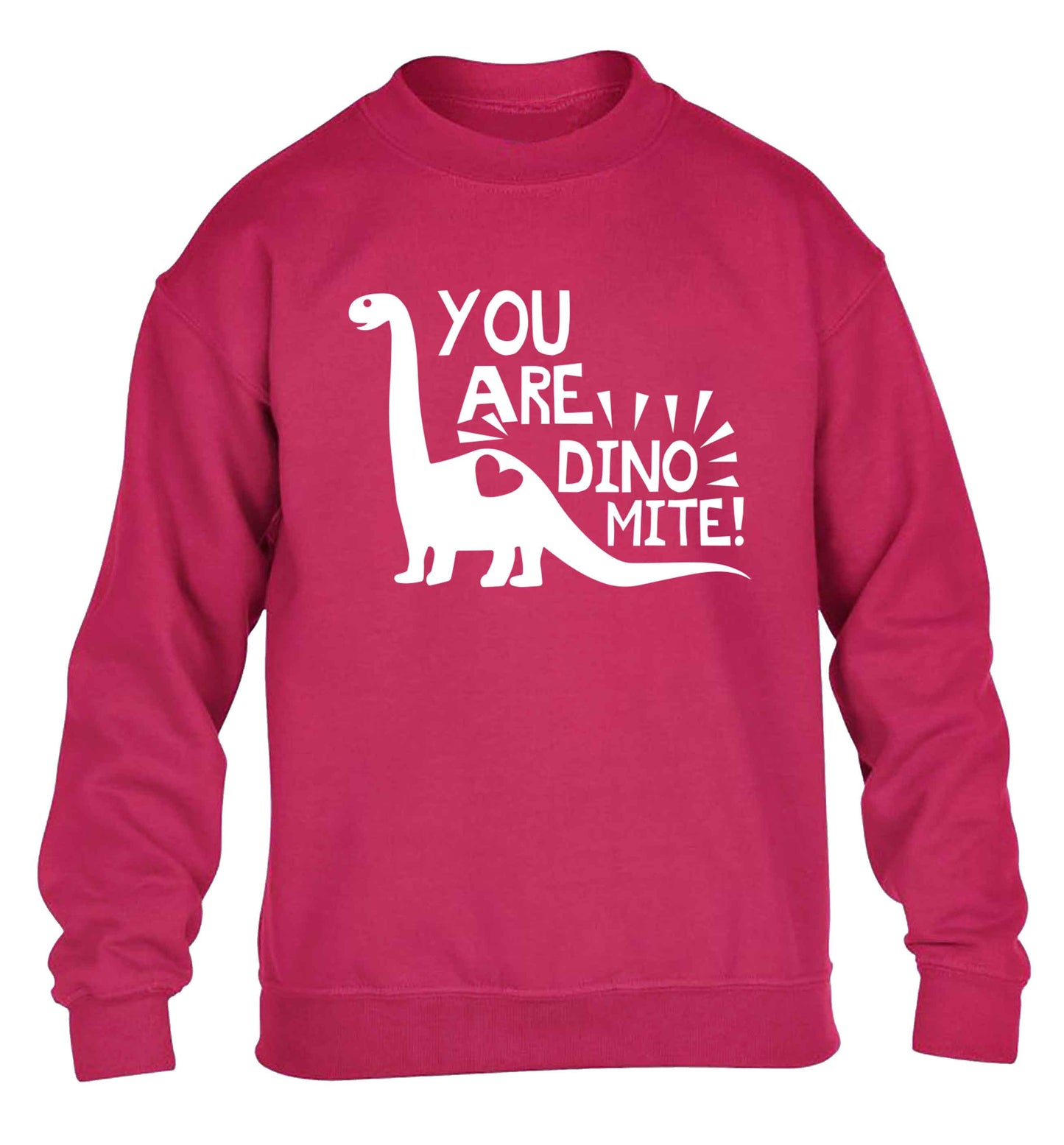 You are dinomite! children's pink sweater 12-13 Years