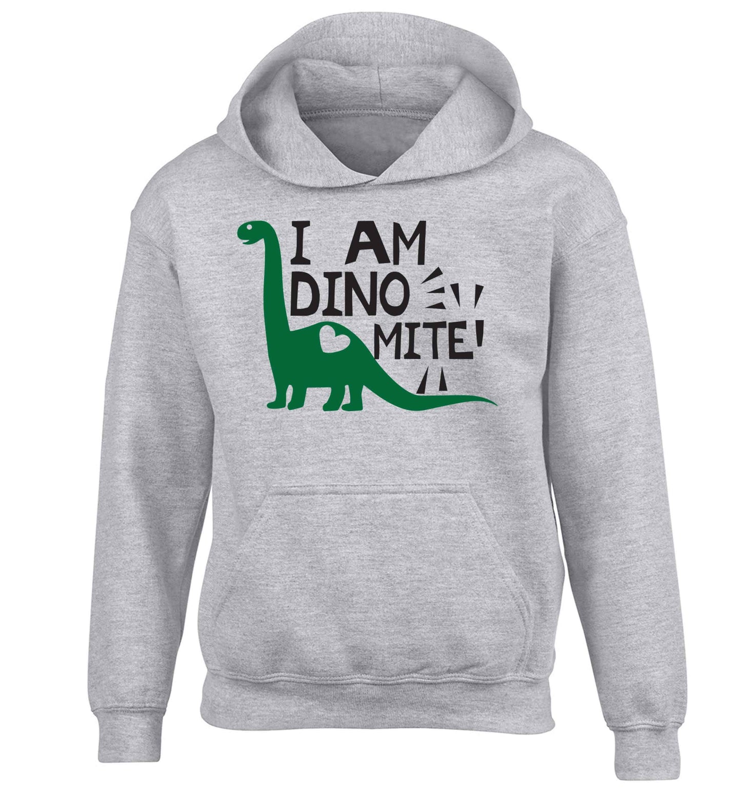 I am dinomite! children's grey hoodie 12-13 Years