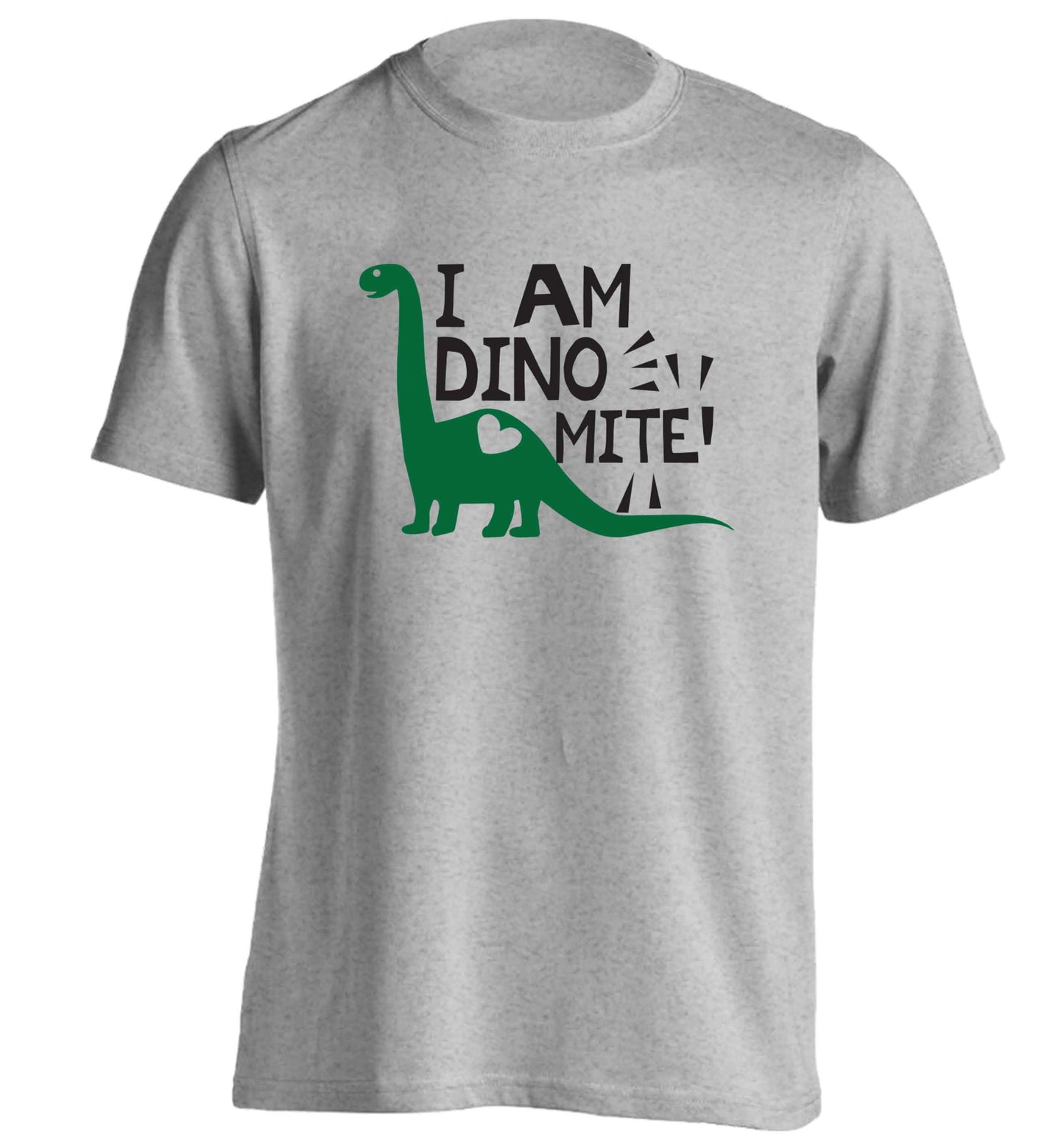 I am dinomite! adults unisex grey Tshirt 2XL