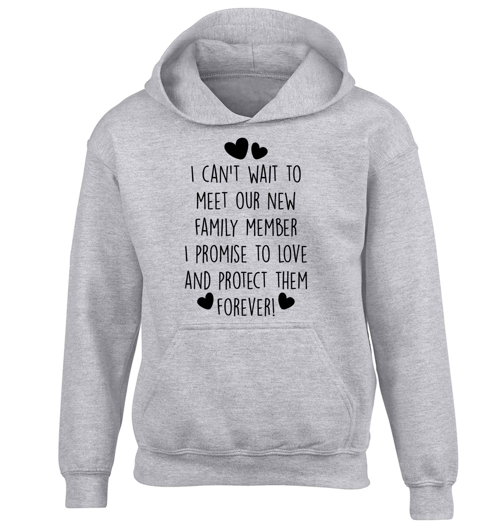 I can't wait to meet our new family member I promise to love and protect them foreverchildren's grey hoodie 12-13 Years