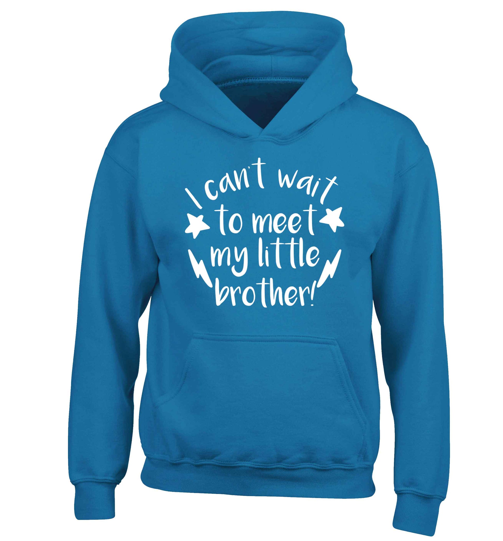 I can't wait to meet my sister! children's blue hoodie 12-13 Years