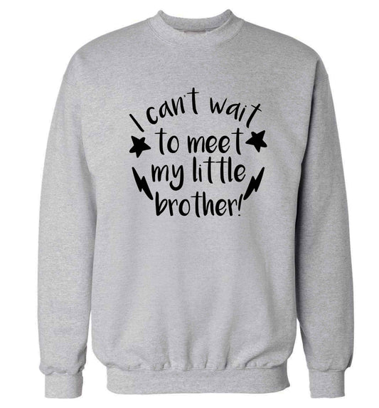 I can't wait to meet my sister! Adult's unisex grey Sweater 2XL