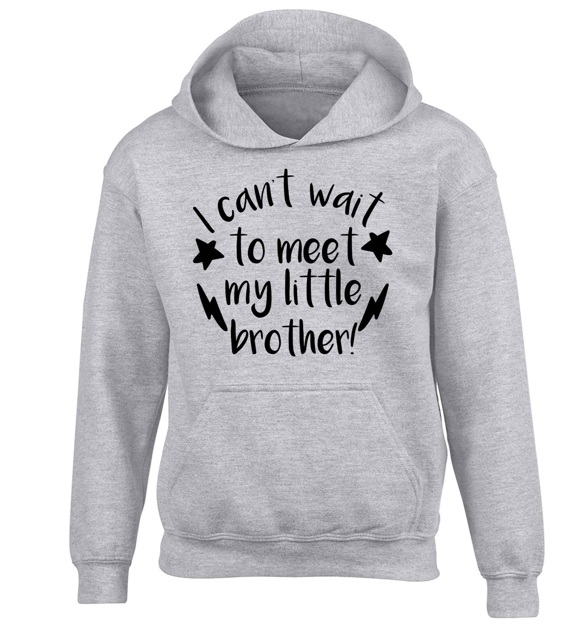 I can't wait to meet my sister! children's grey hoodie 12-13 Years