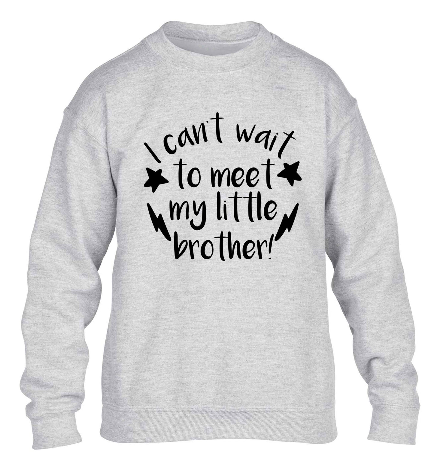 I can't wait to meet my sister! children's grey sweater 12-13 Years