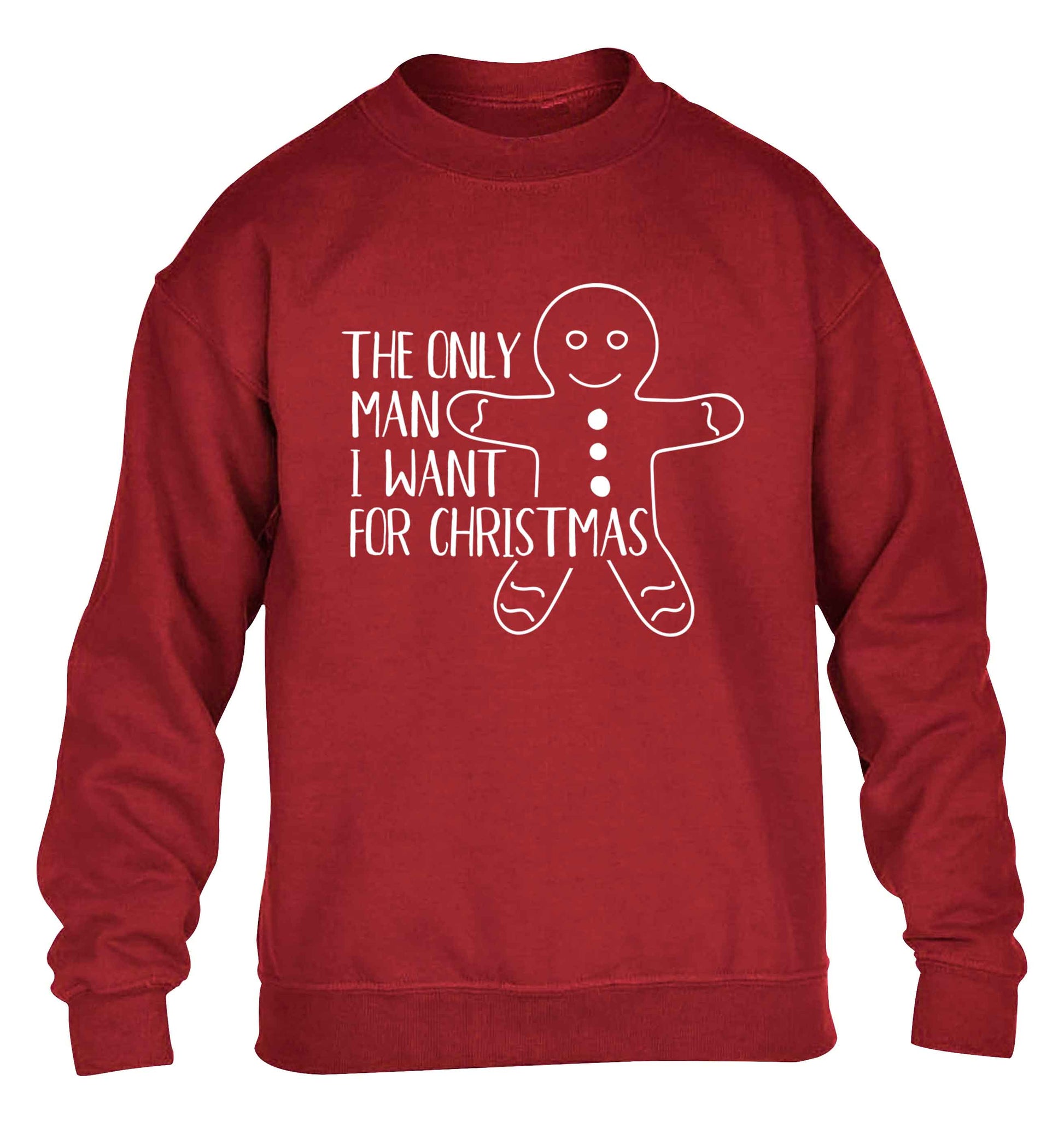 The only man I want for Christmas children's grey sweater 12-13 Years
