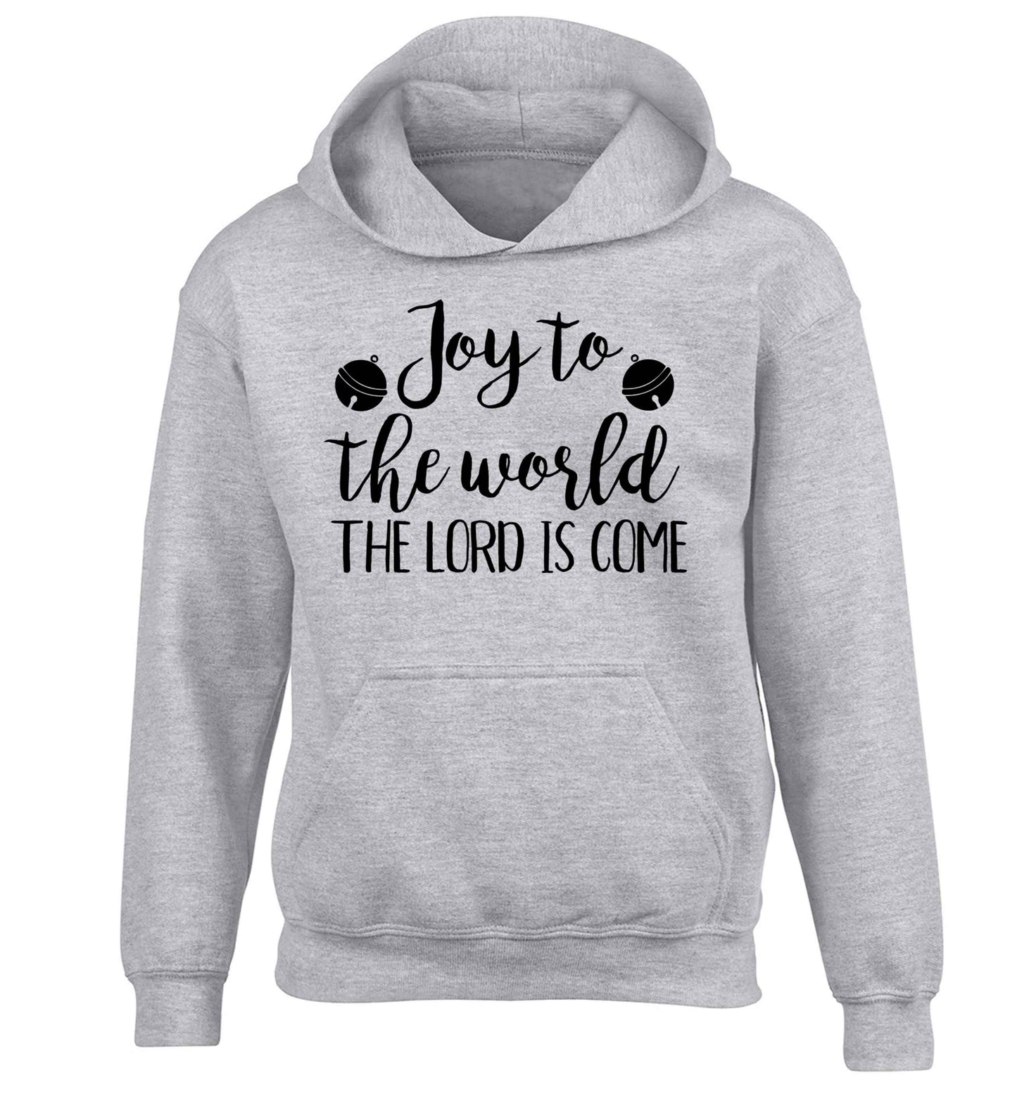 Joy to the world the Lord is come children's grey hoodie 12-13 Years